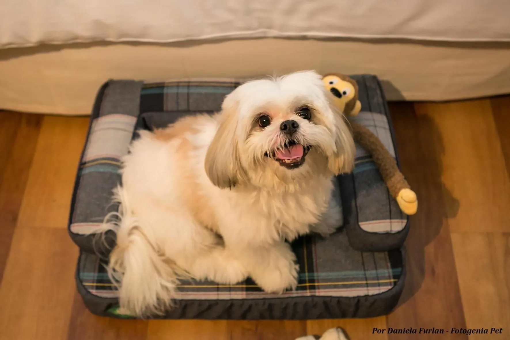 Pets in Pergamon SP Frei Caneca by Accor