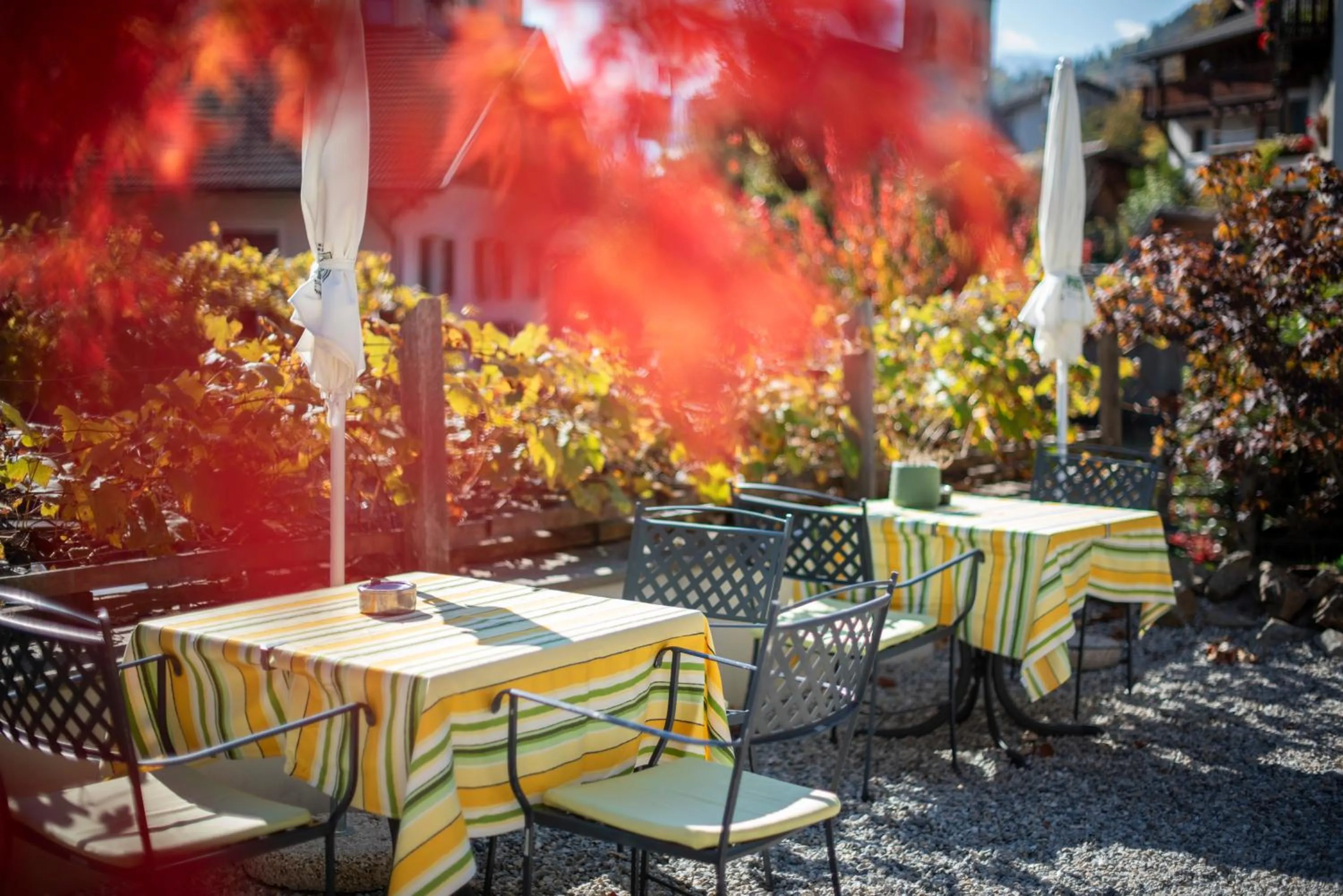 Restaurant/places to eat in Taubers Unterwirt Aktiv & Vitalhotel