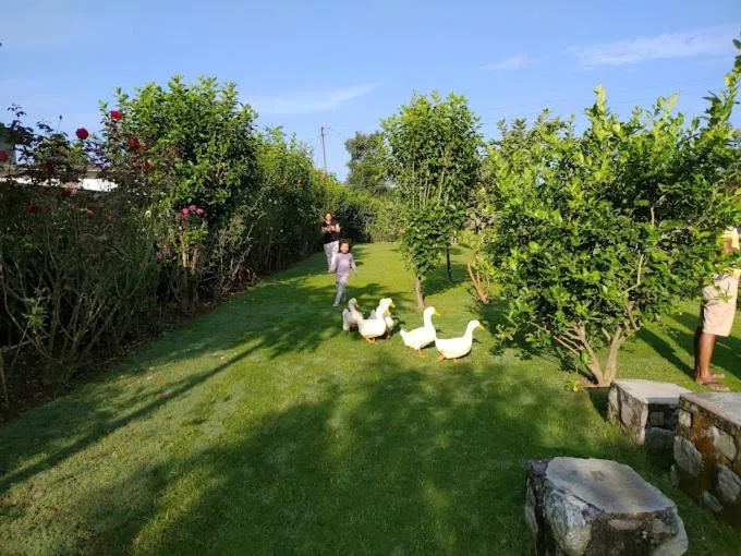 Garden in The Nature View Resort by Ohana