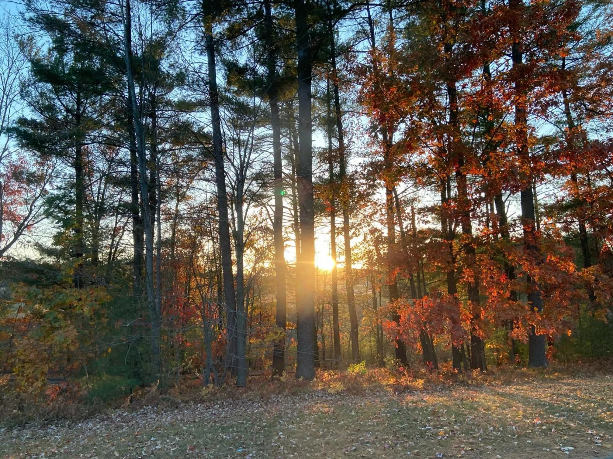 Spring in Three Bears Resort Waterpark Near Tomah Ascend Collection