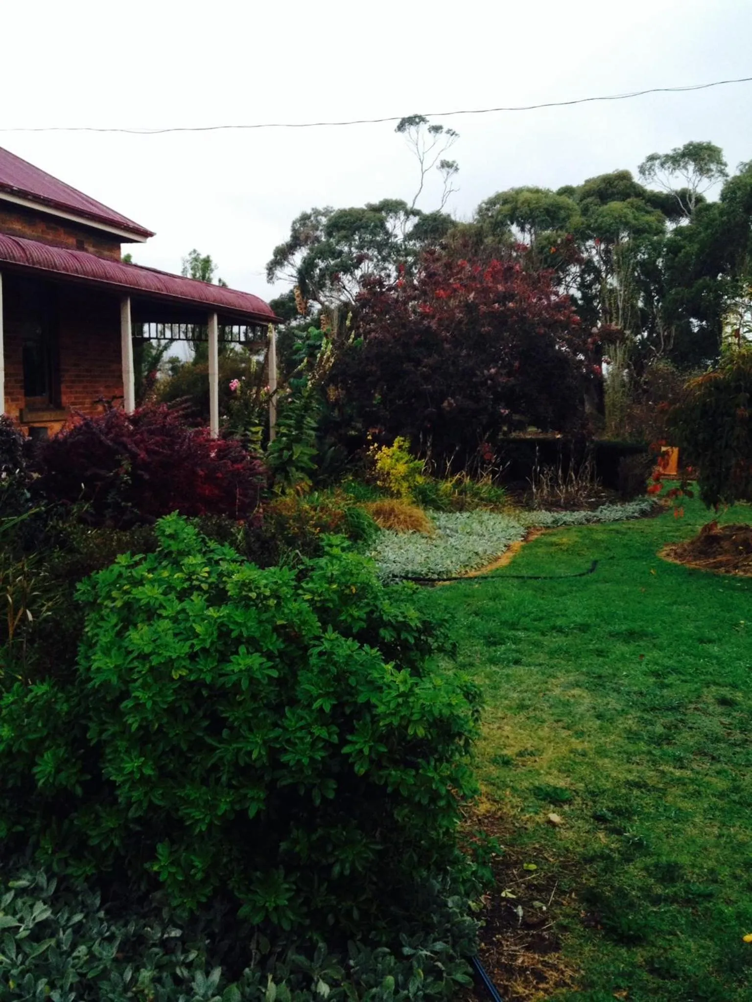 Natural landscape in Pierrepoint Accommodation