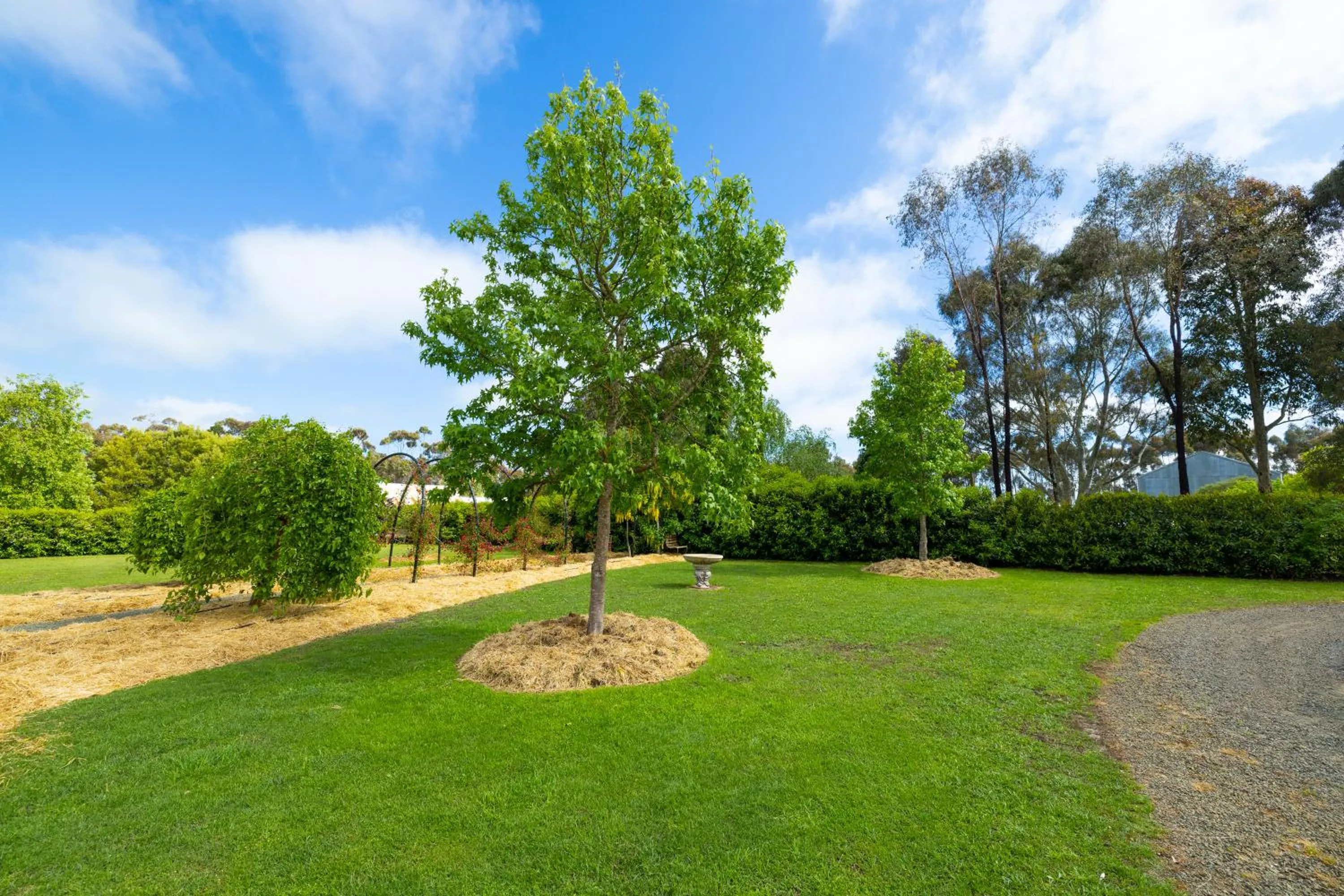 Garden in Pierrepoint Accommodation