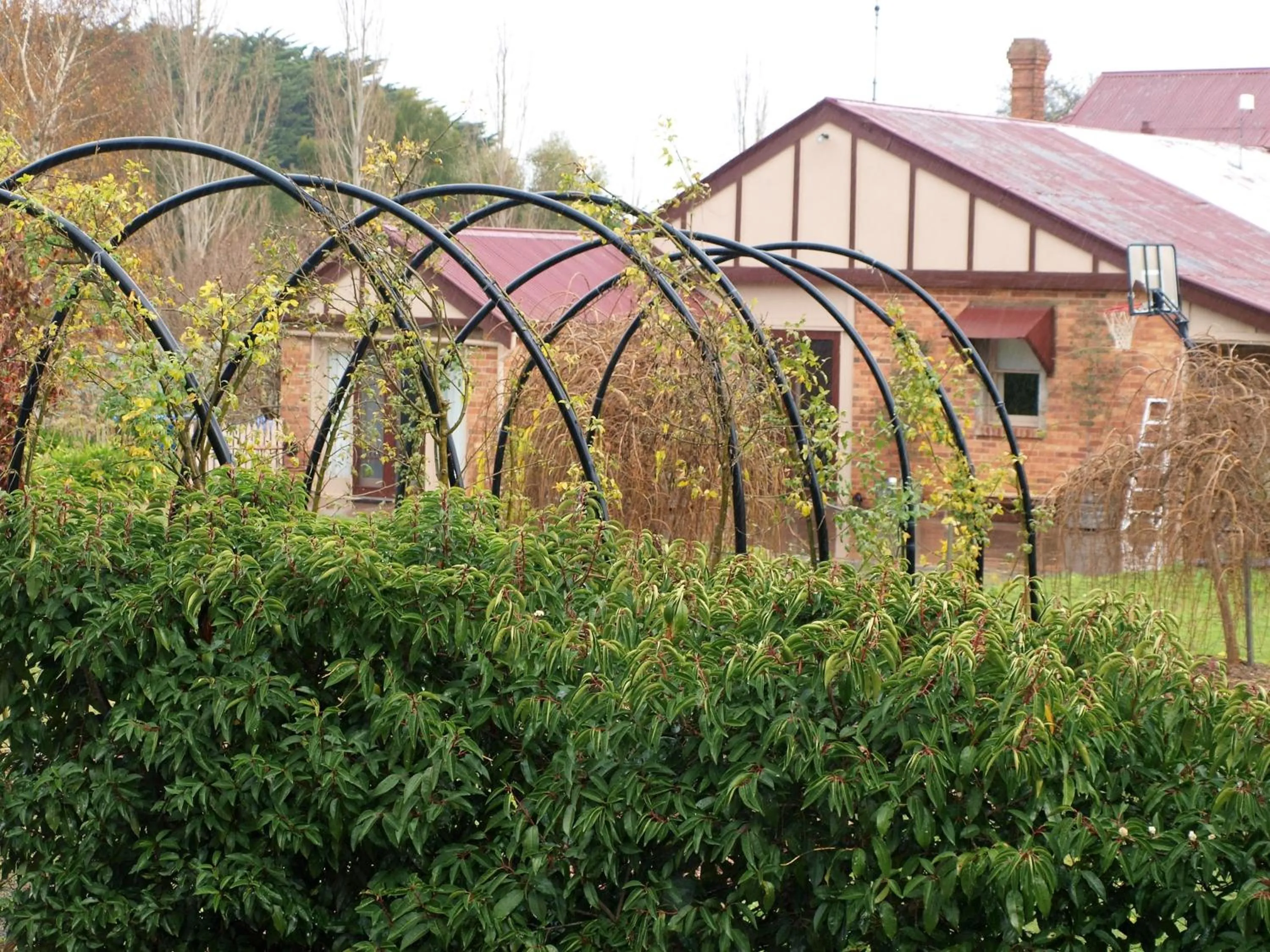 Garden in Pierrepoint Accommodation