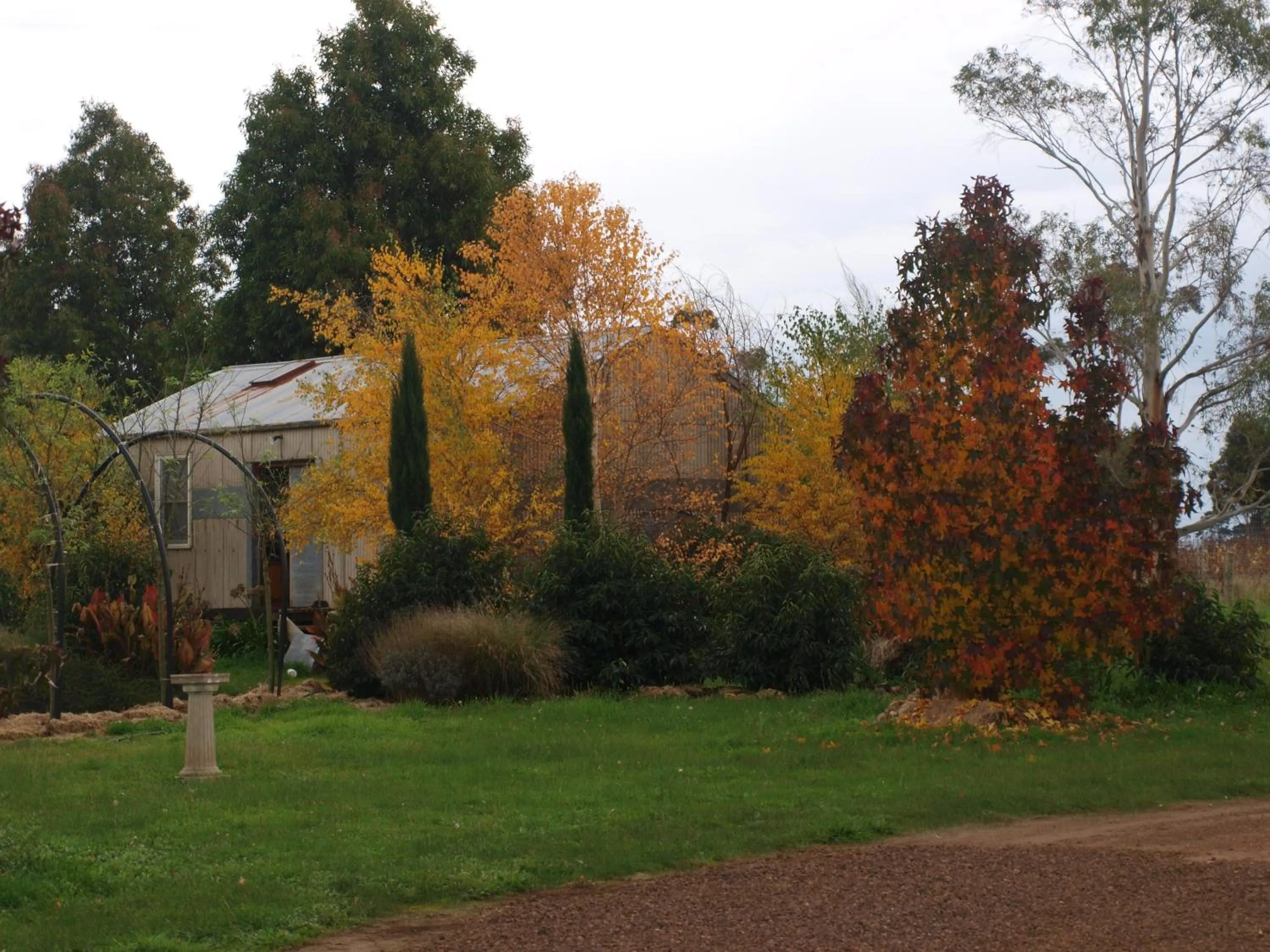 Garden in Pierrepoint Accommodation