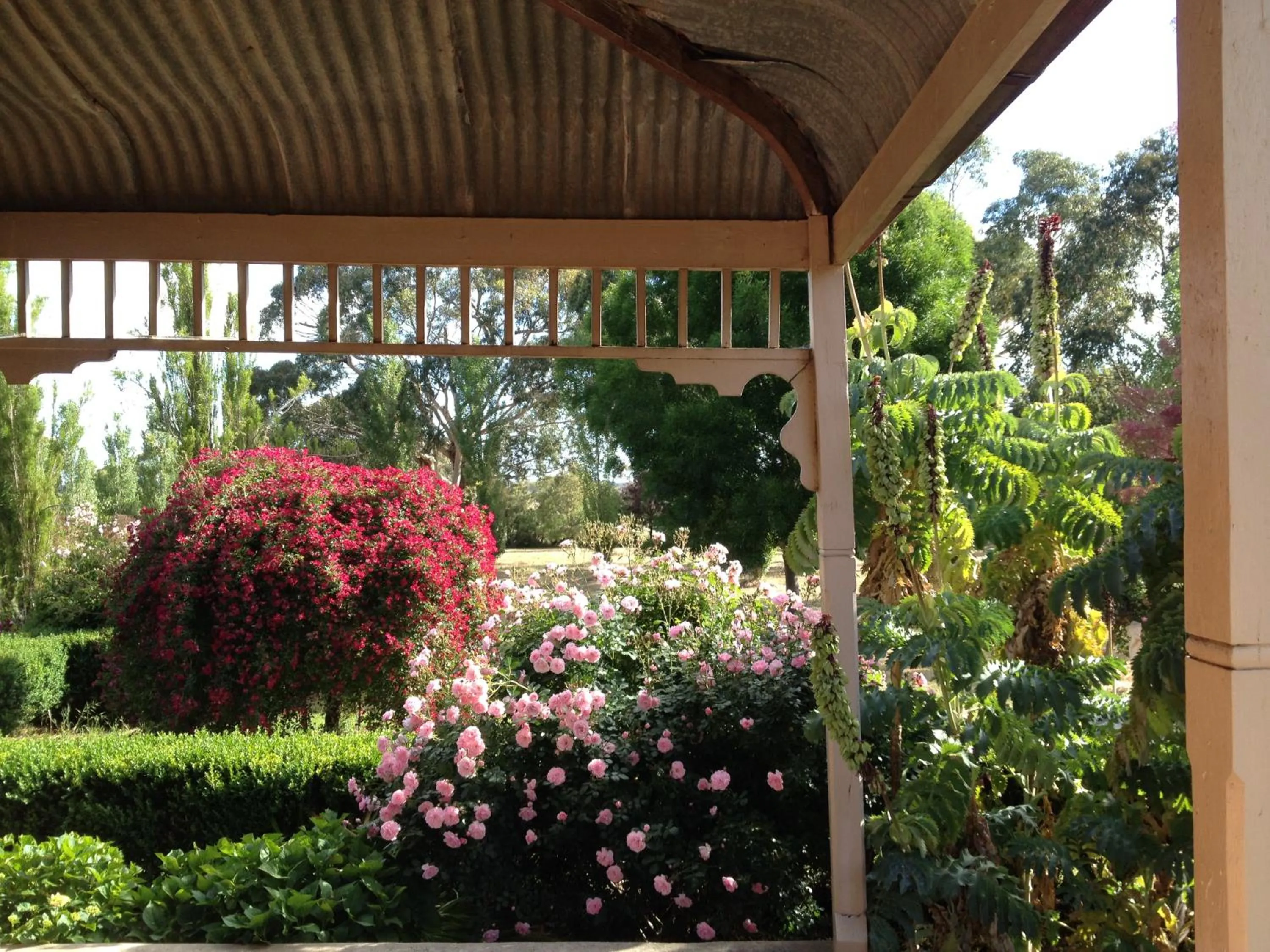 Garden in Pierrepoint Accommodation