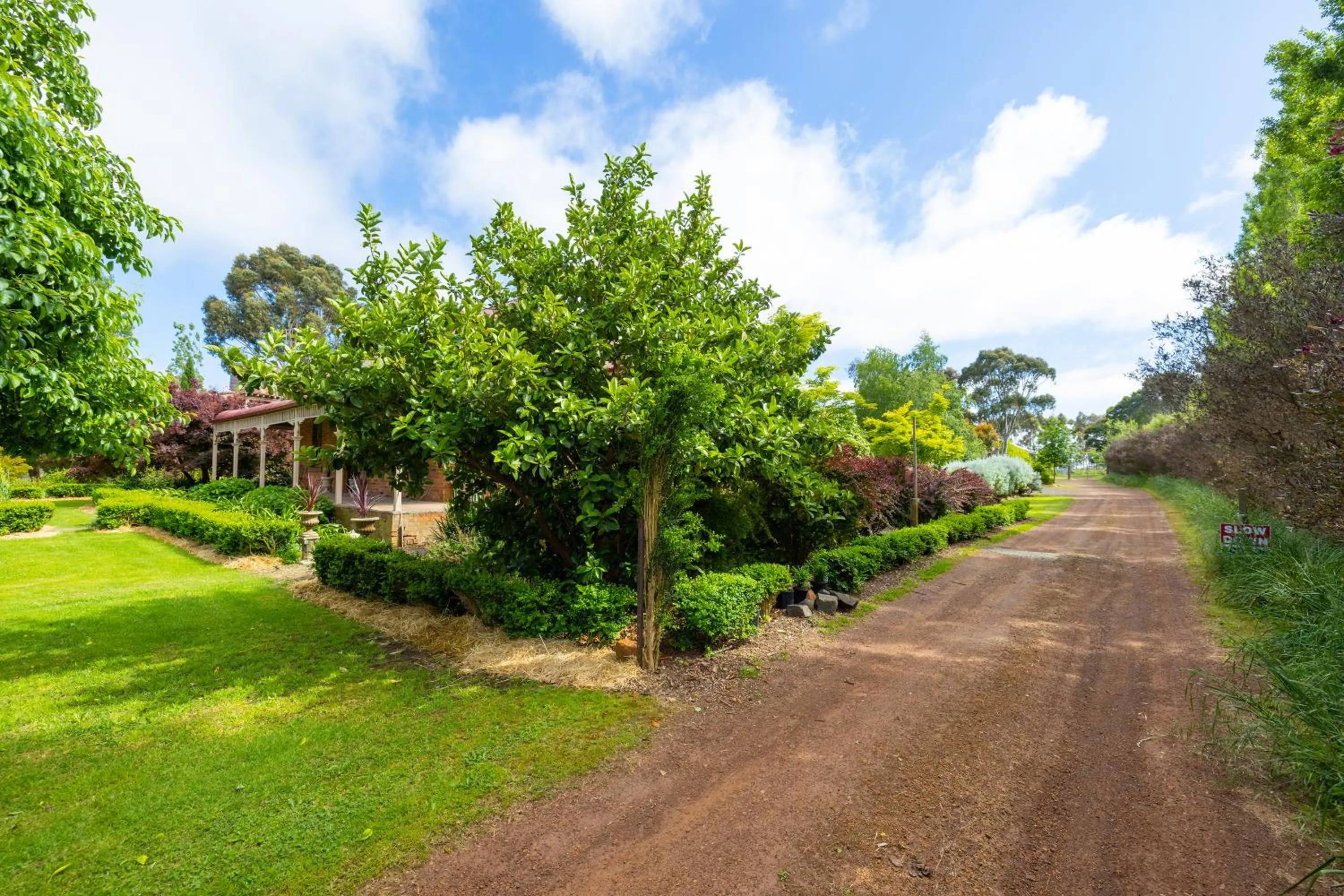 Garden in Pierrepoint Accommodation