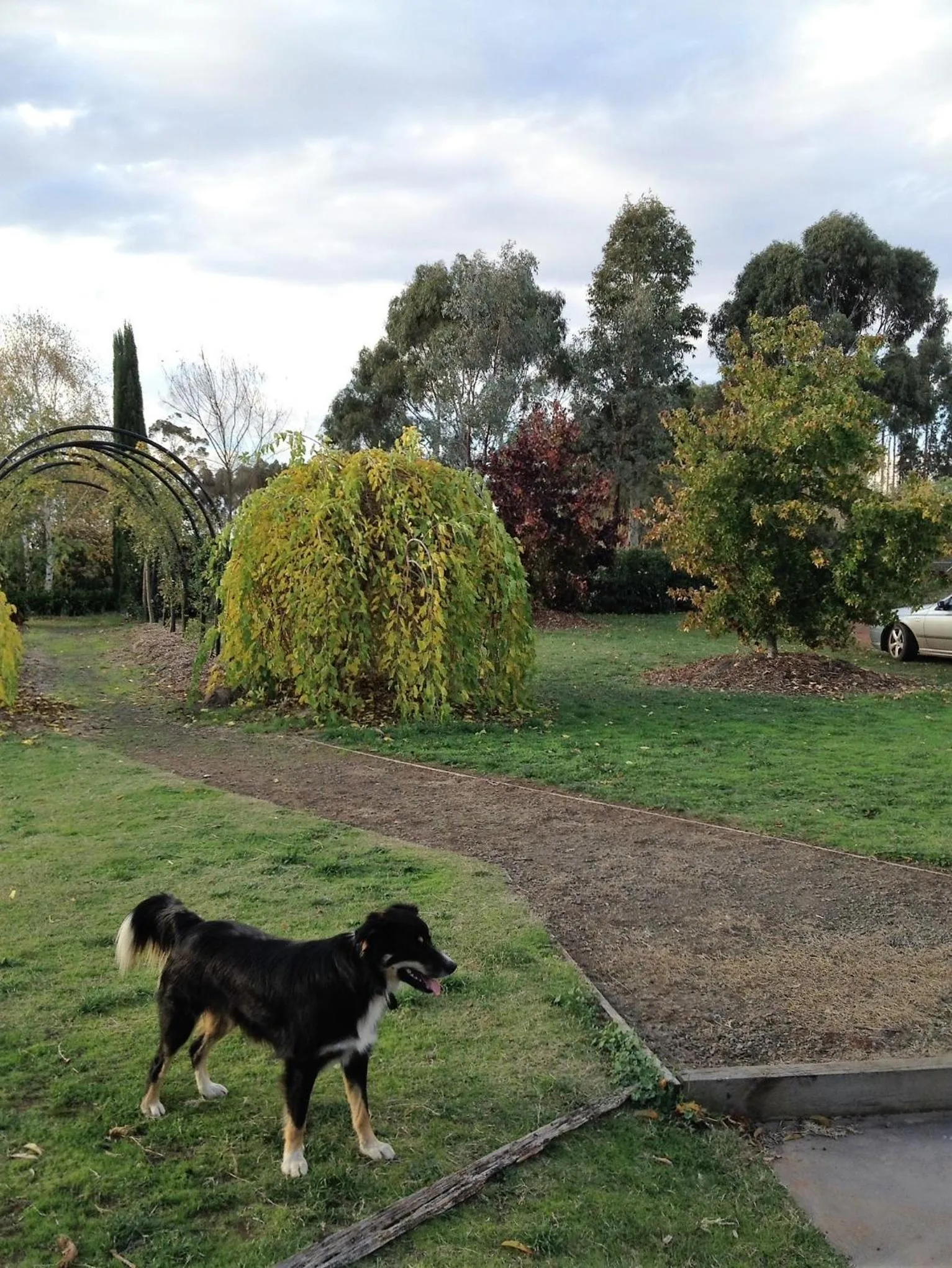 Garden in Pierrepoint Accommodation