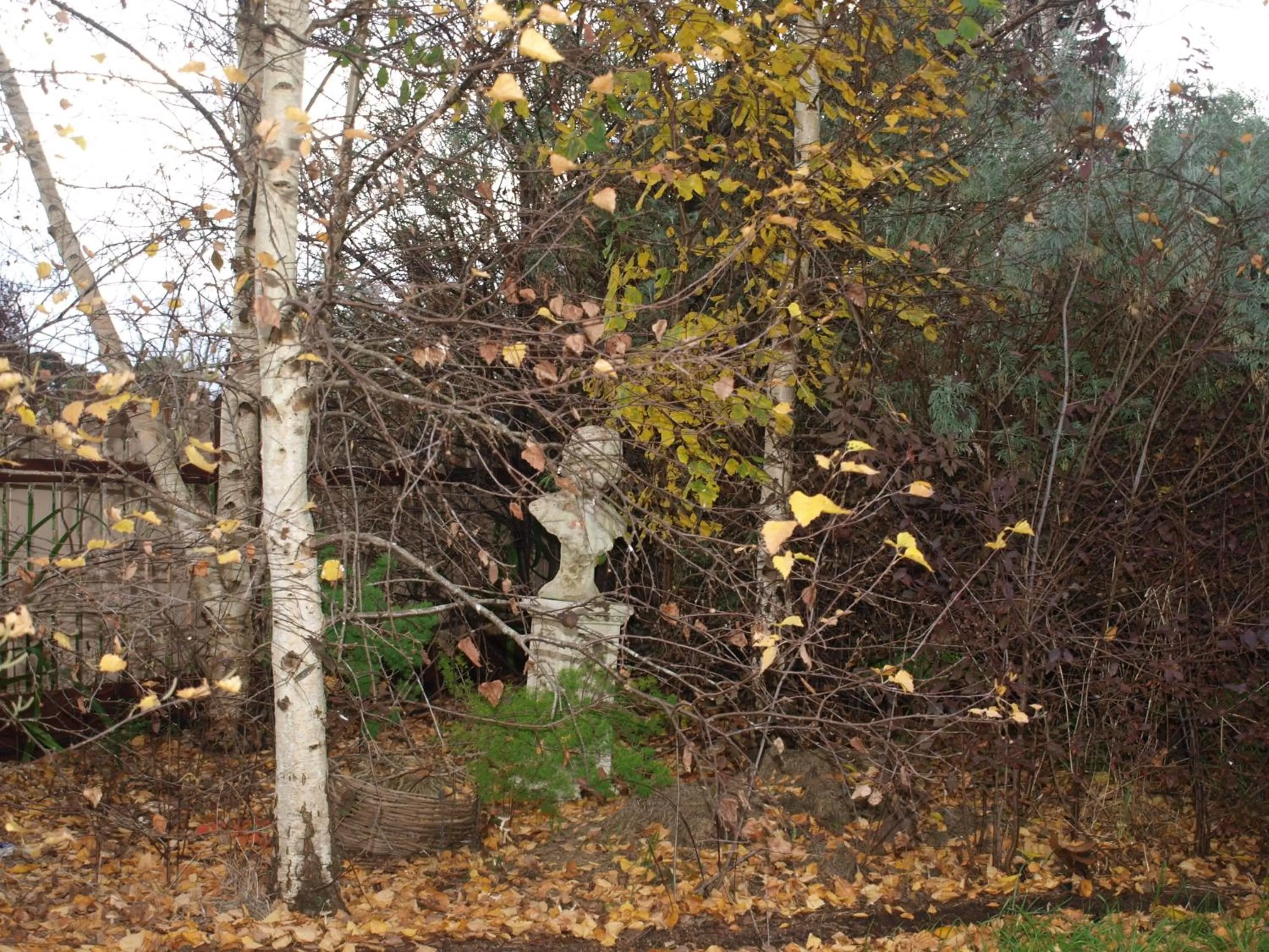 Garden in Pierrepoint Accommodation