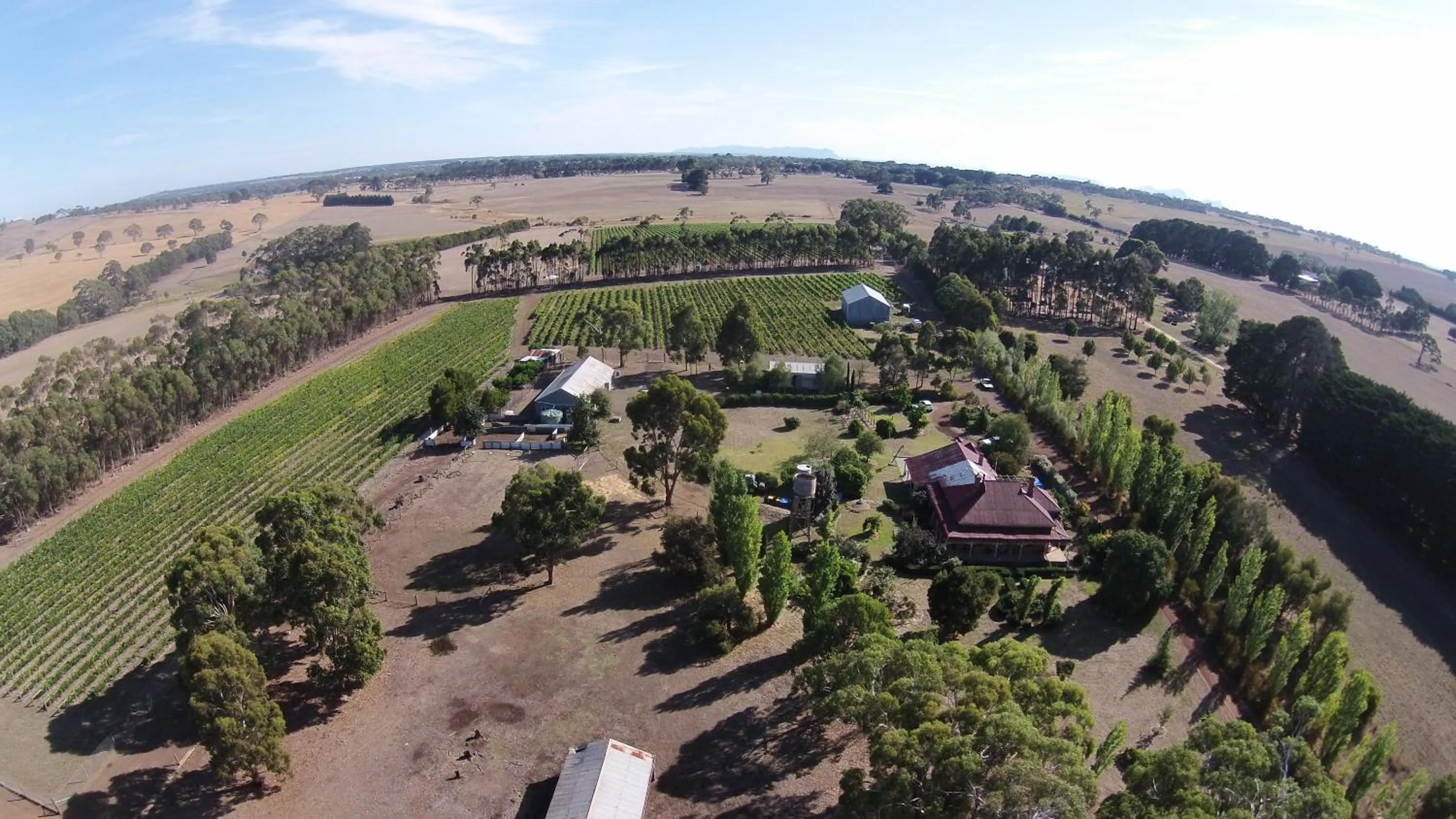 Garden in Pierrepoint Accommodation