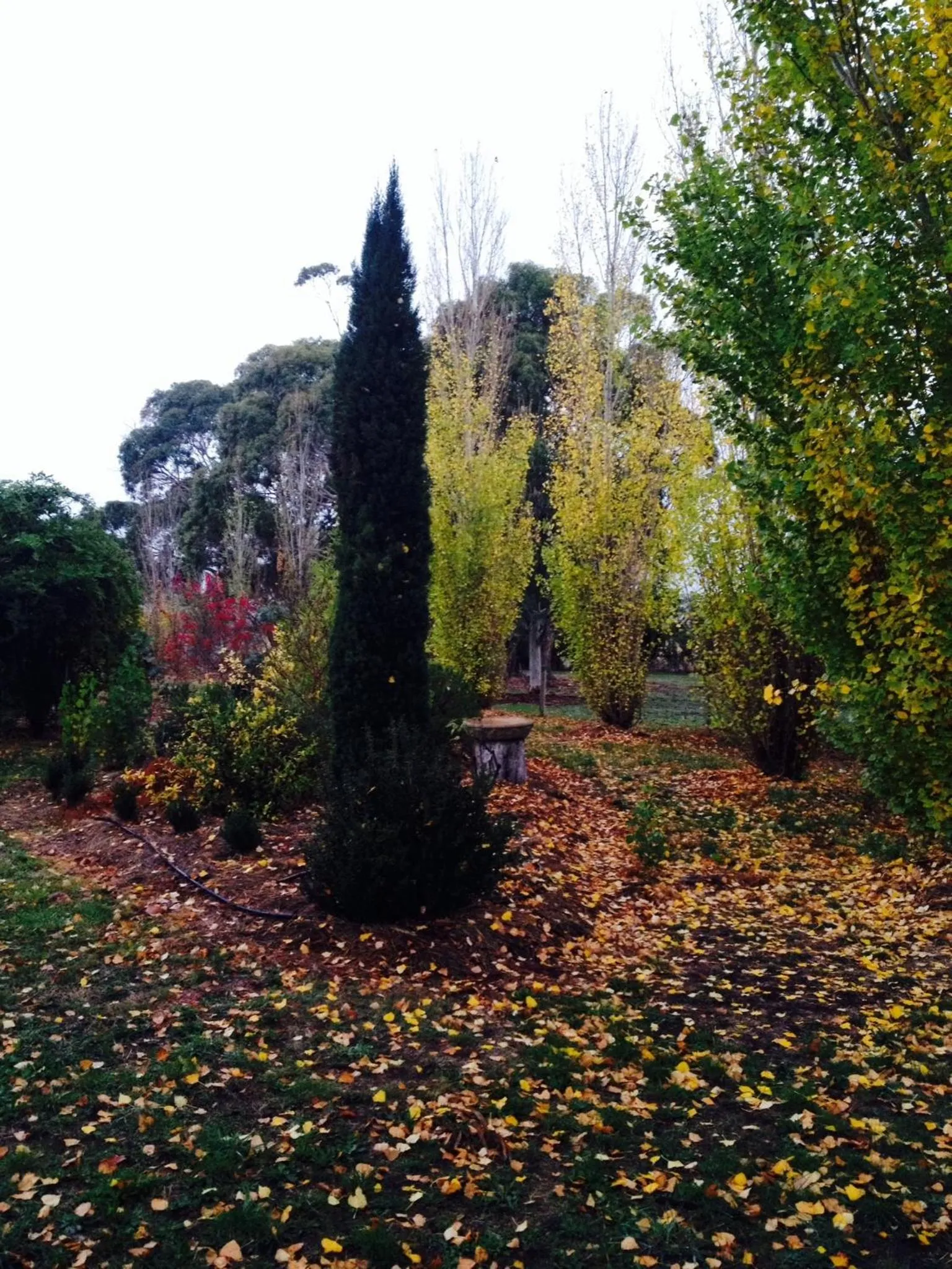 Garden in Pierrepoint Accommodation