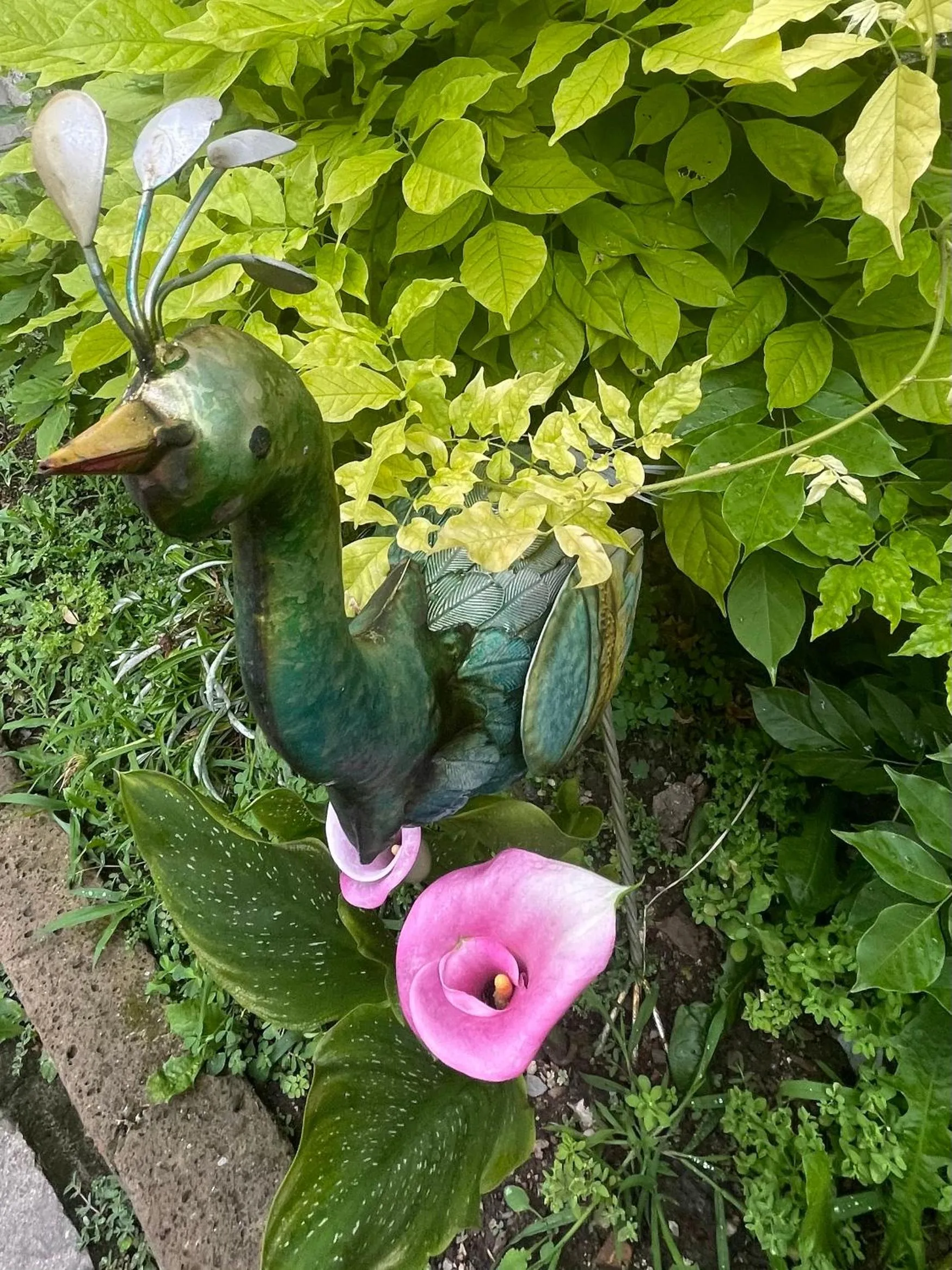 B&B Corte sul Naviglio CIN I T 0 1 5 0 7 0 C 1 3 X U I L Q C V