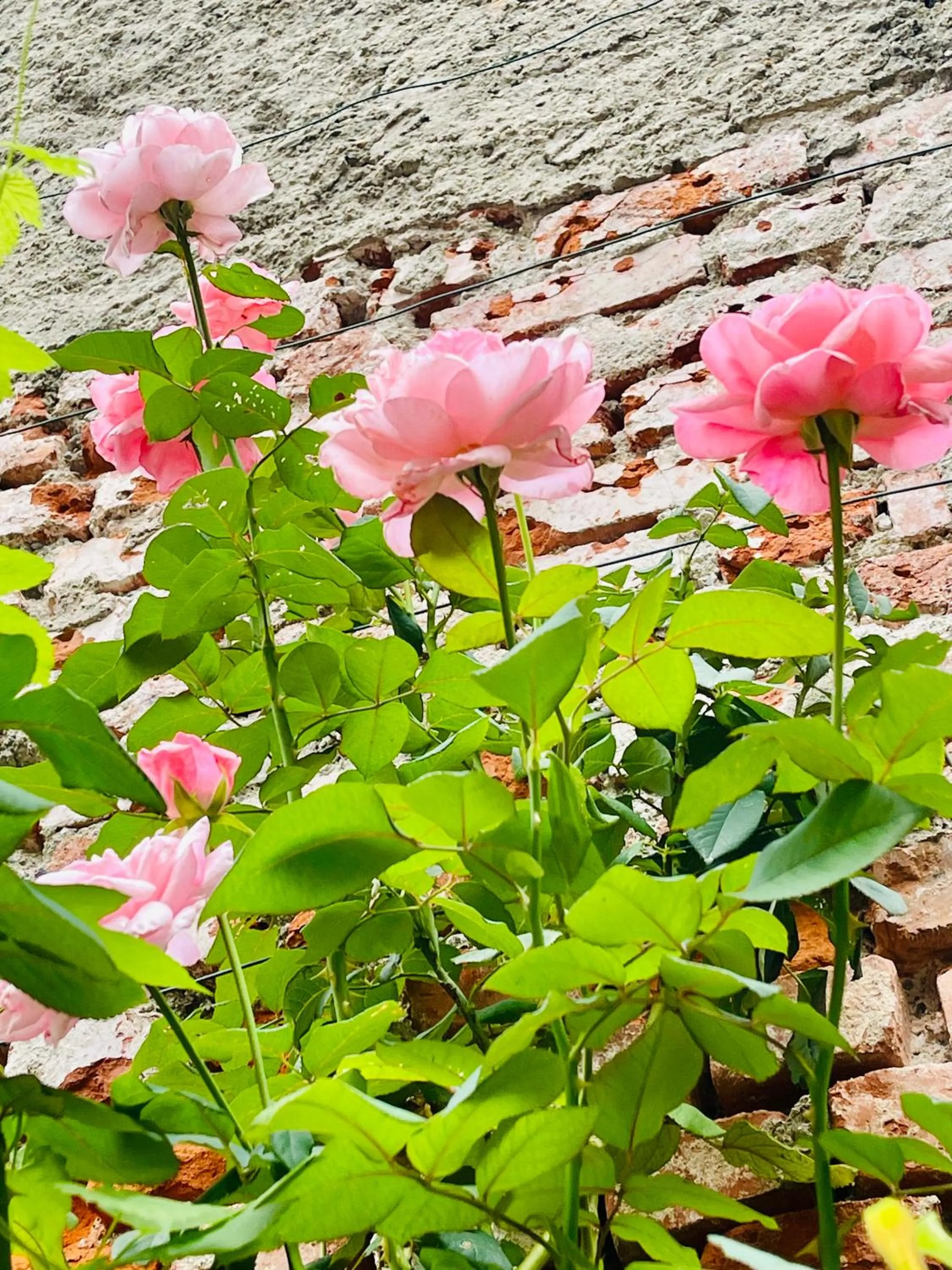 B&B Corte sul Naviglio CIN I T 0 1 5 0 7 0 C 1 3 X U I L Q C V