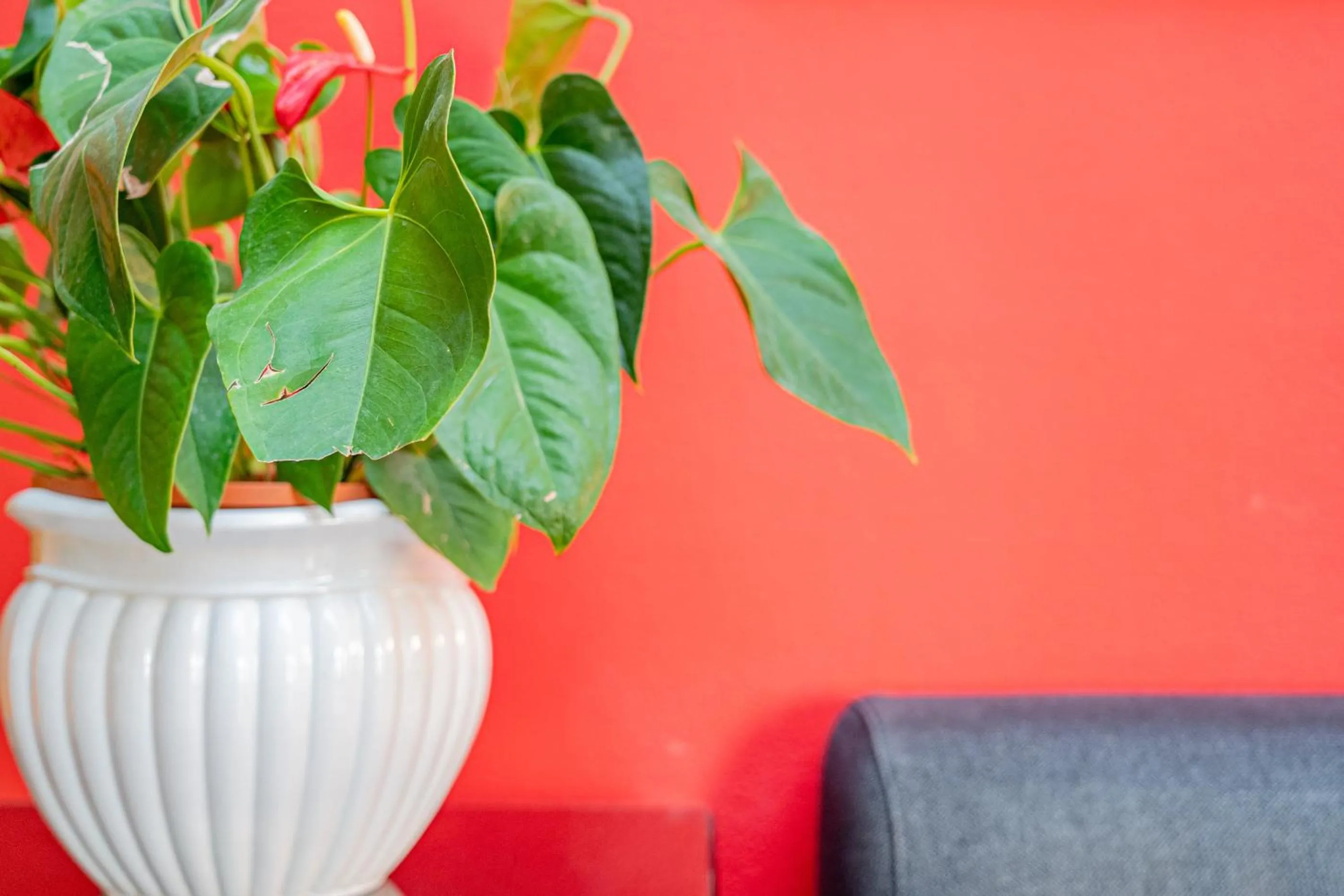 Decorative detail in Hotel Marinaro