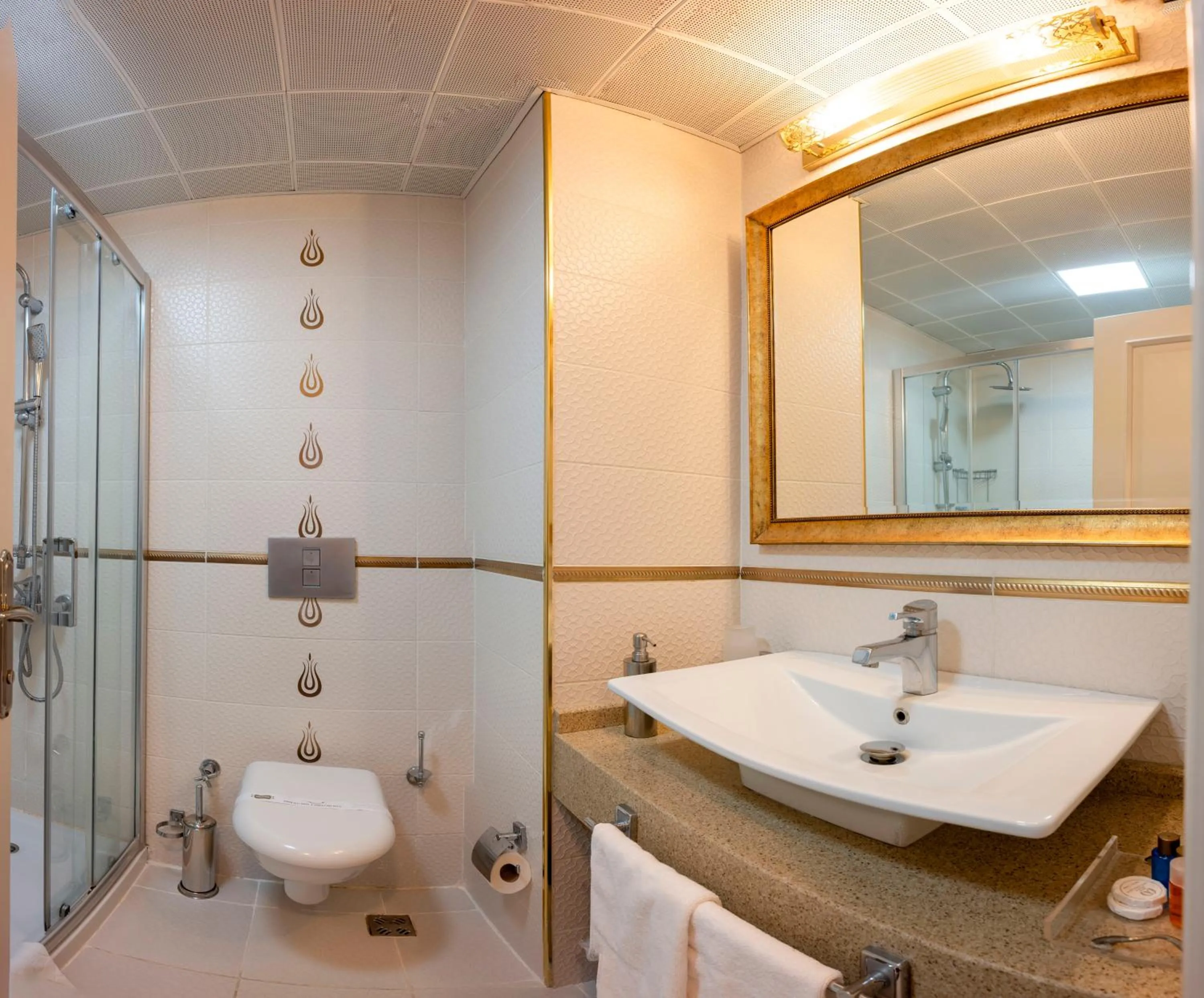 Bathroom in Arden City Hotel-Special Category