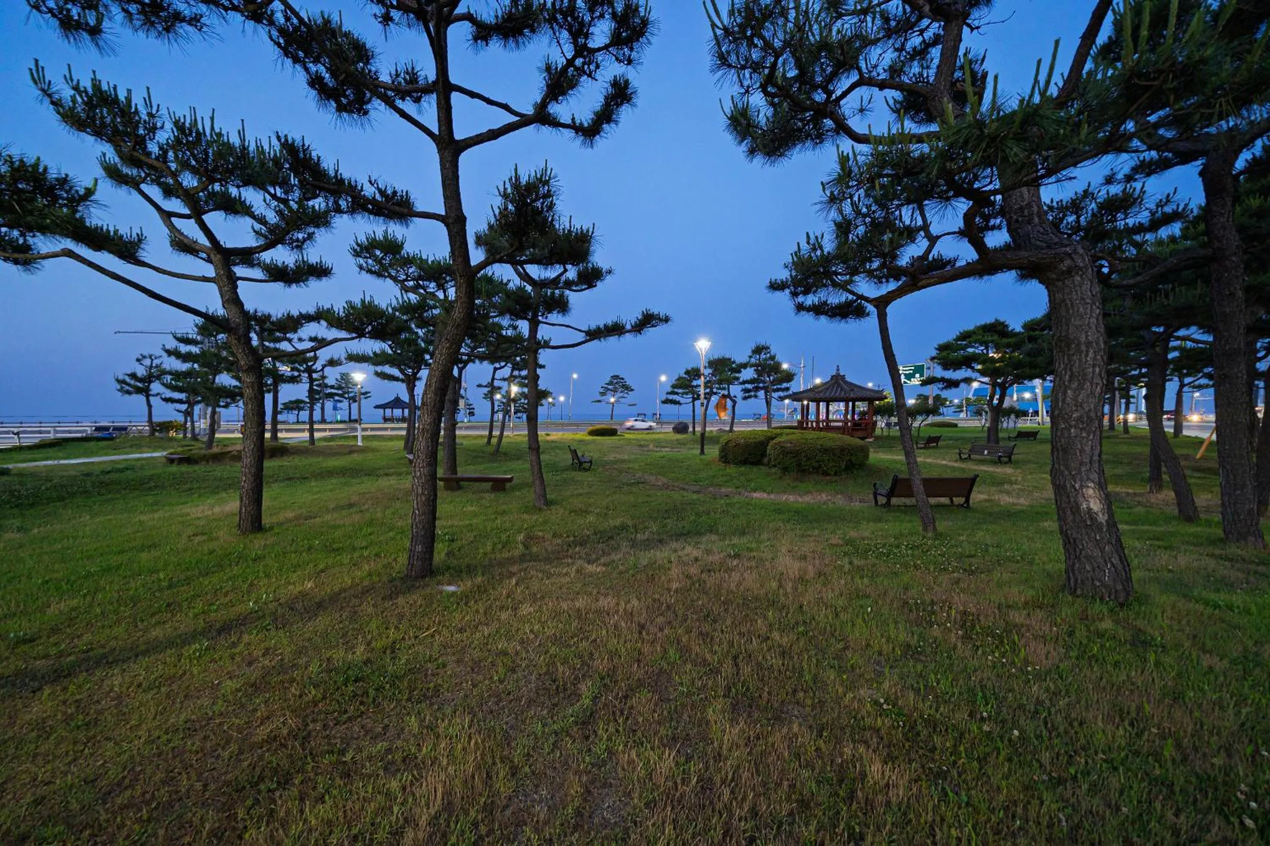 Natural landscape in DIAMER Hotel Sokcho by AankStay