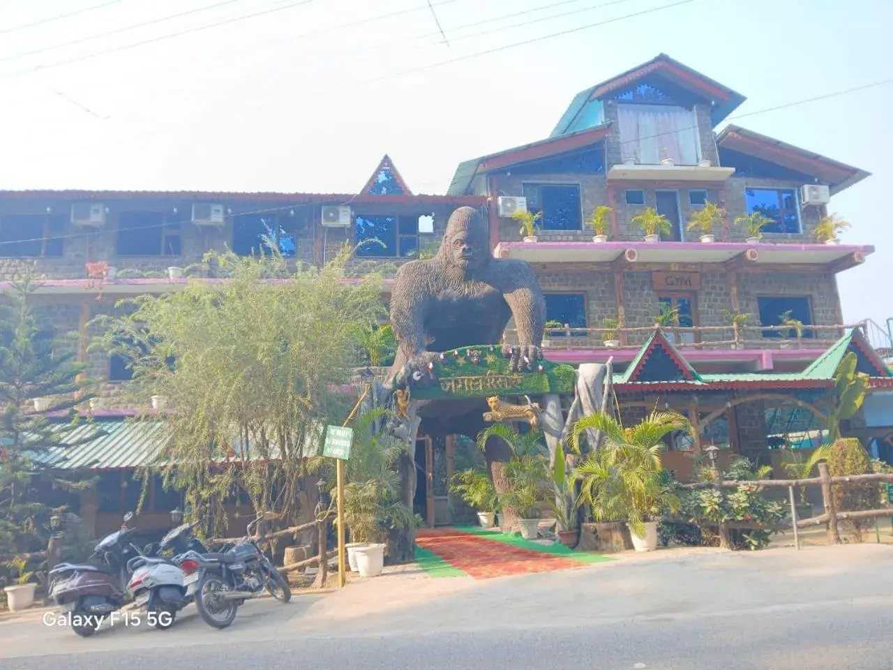 Jungle Resort Jungle Resort