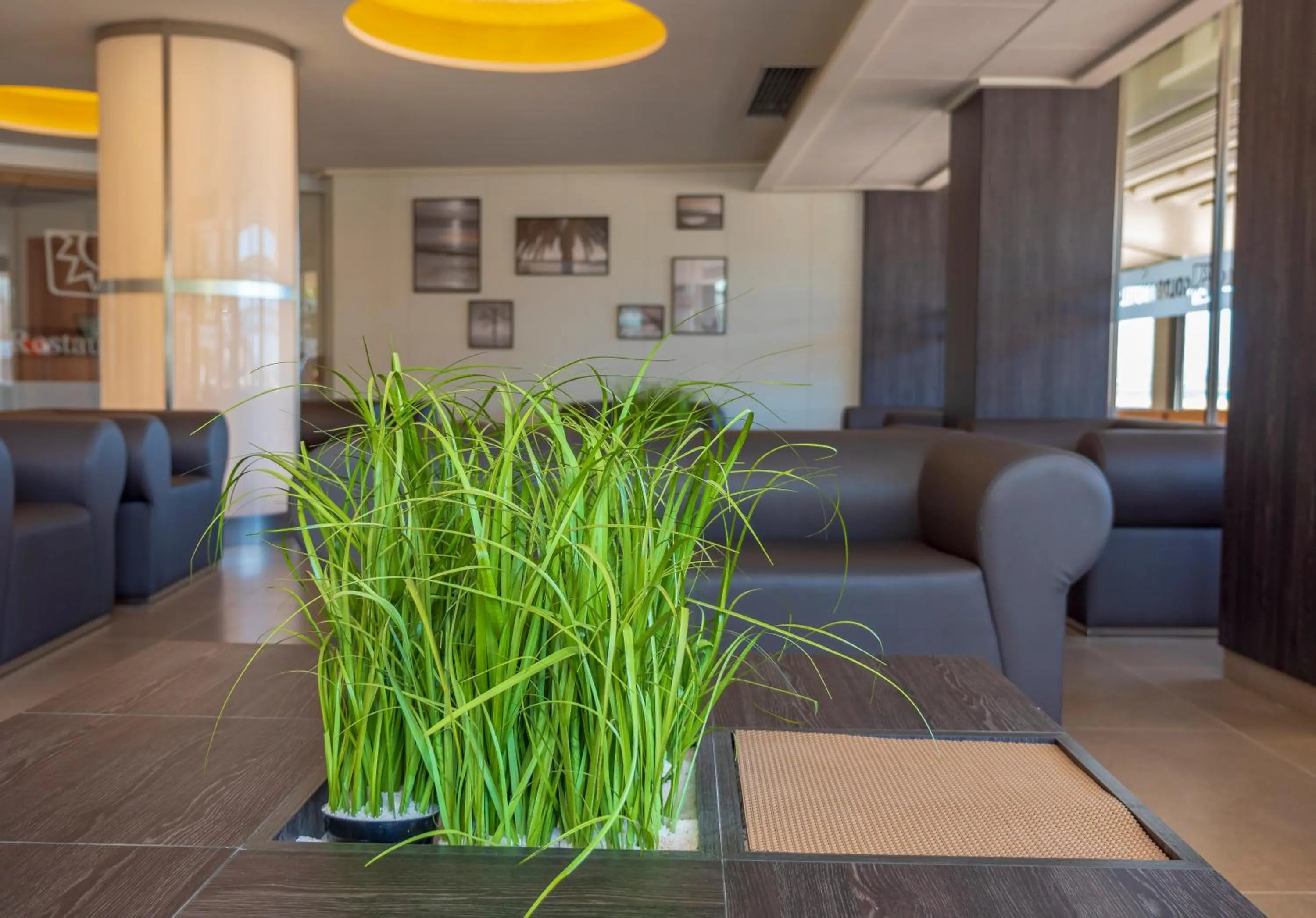 Communal lounge/ TV room in Golden Donaire Beach