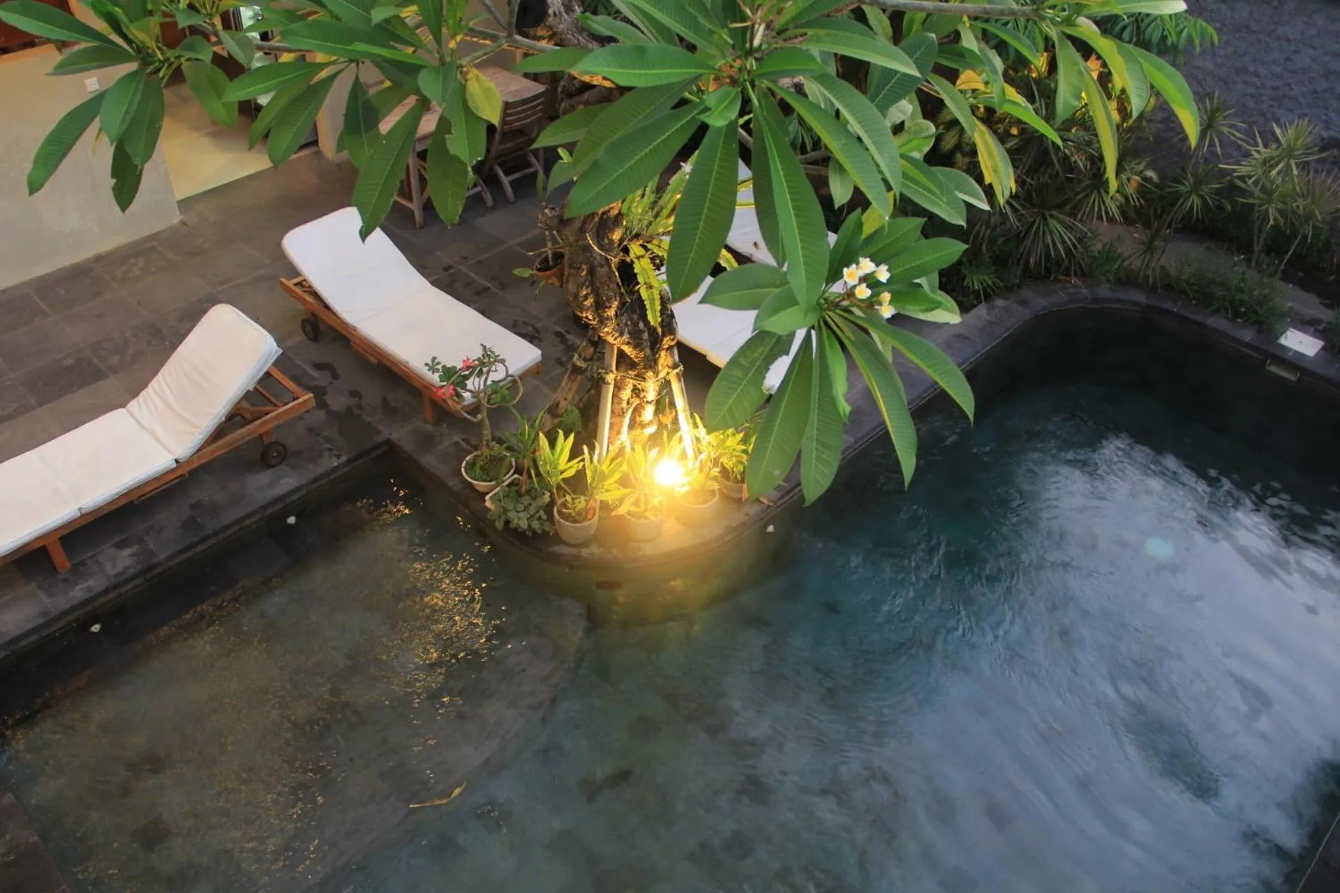 Swimming pool in Semarandana Bedrooms and Pool