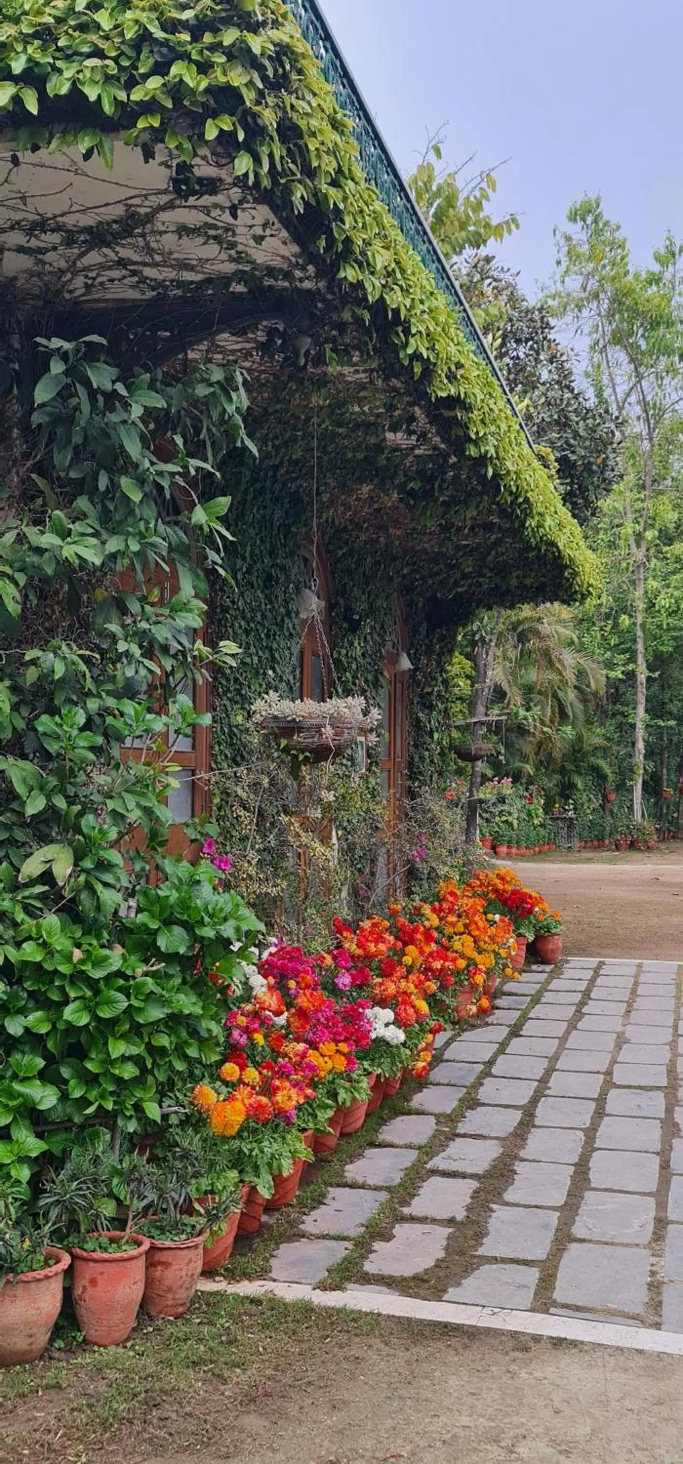 Garden view in Shaheen Bagh - A Luxury Boutique Resort & Spa