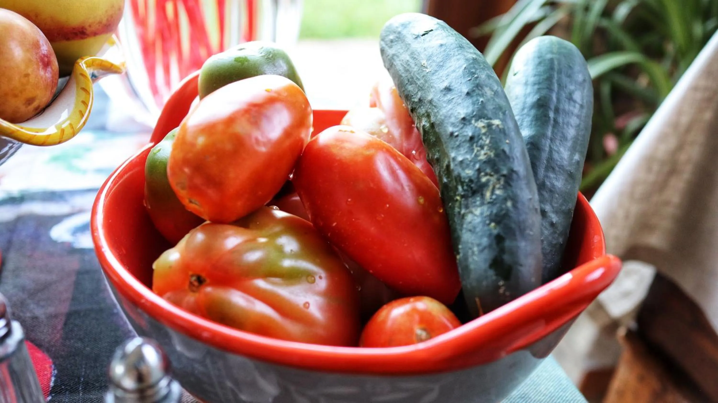 Food and drinks in Villa Clara