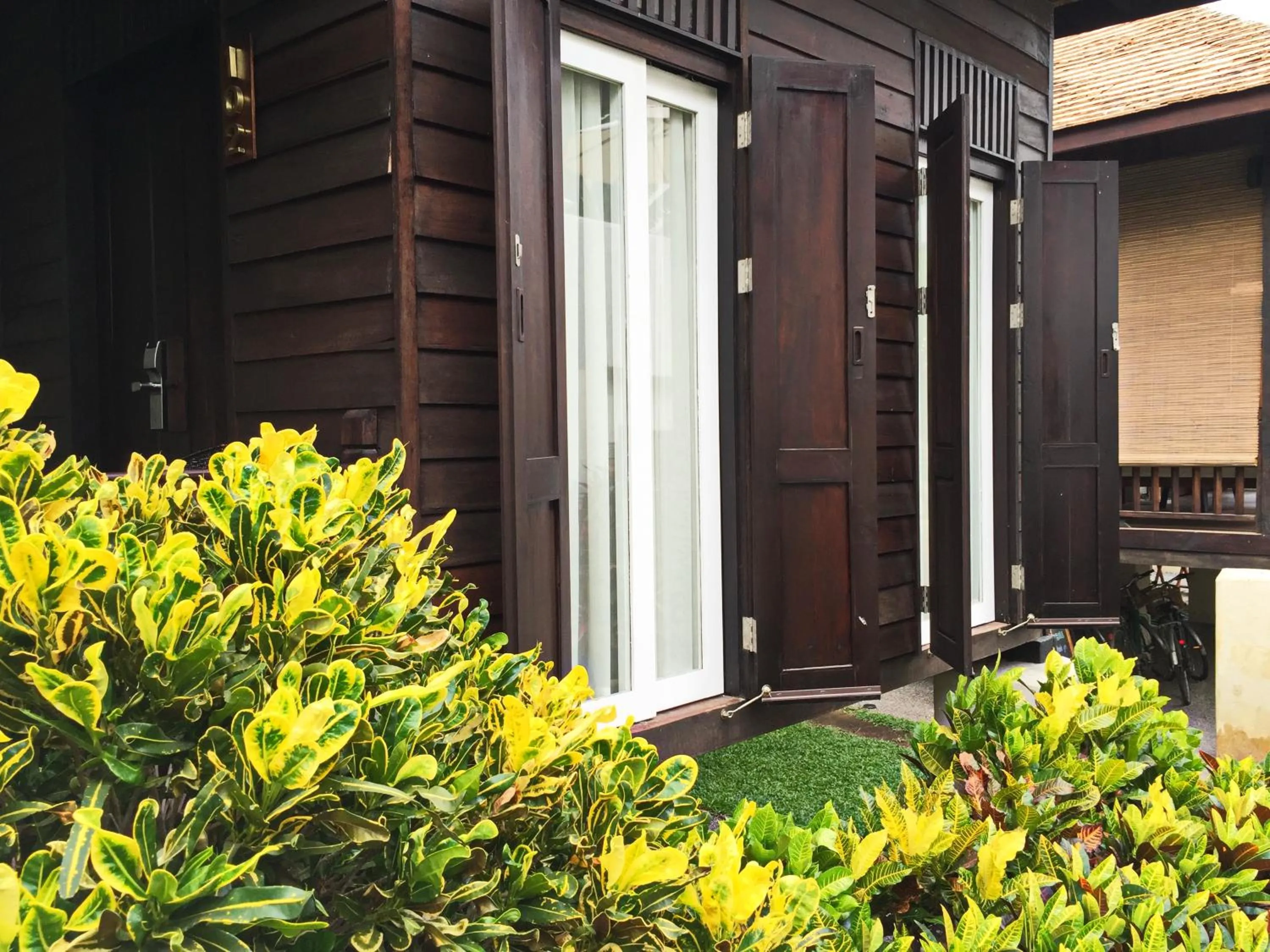 Garden view in Baan Saen Fang Chiang Mai