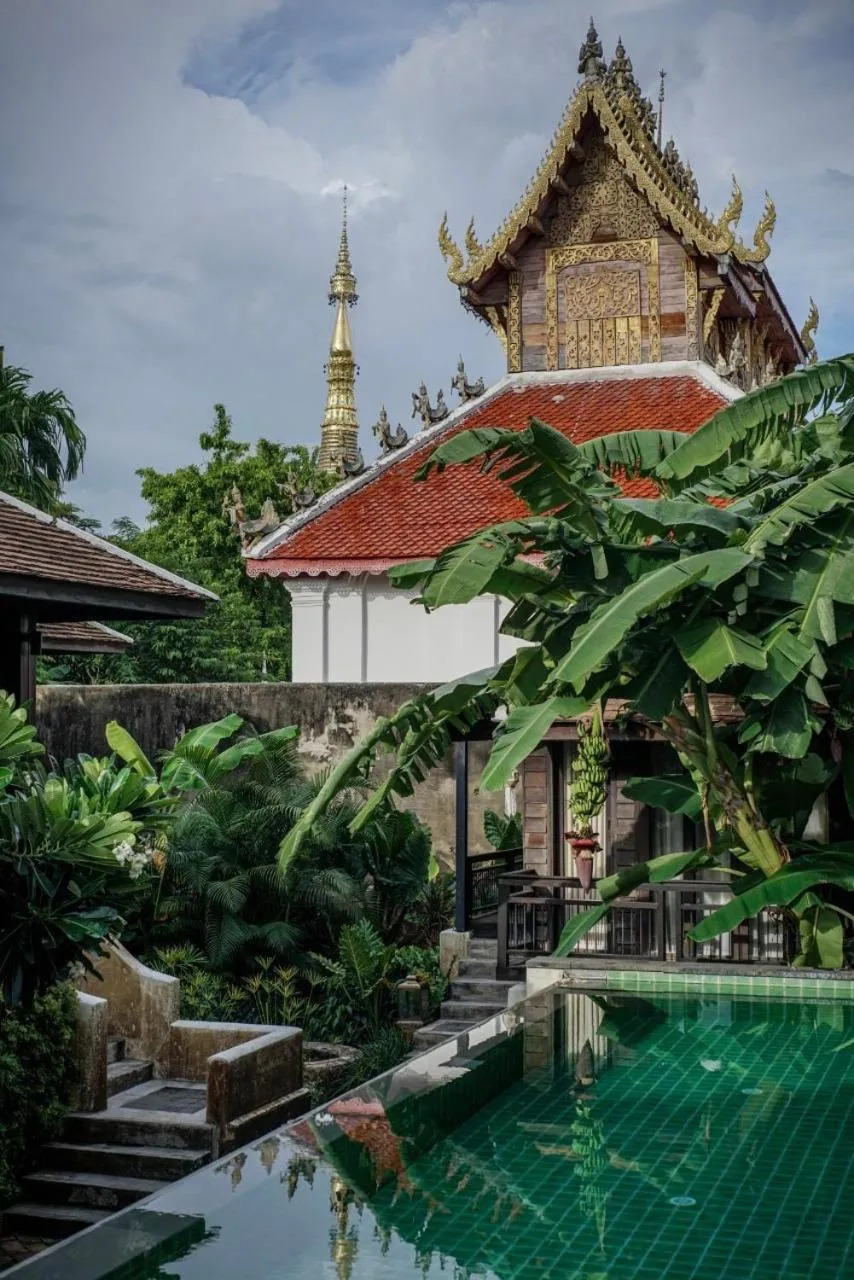 Natural landscape in Baan Saen Fang Chiang Mai