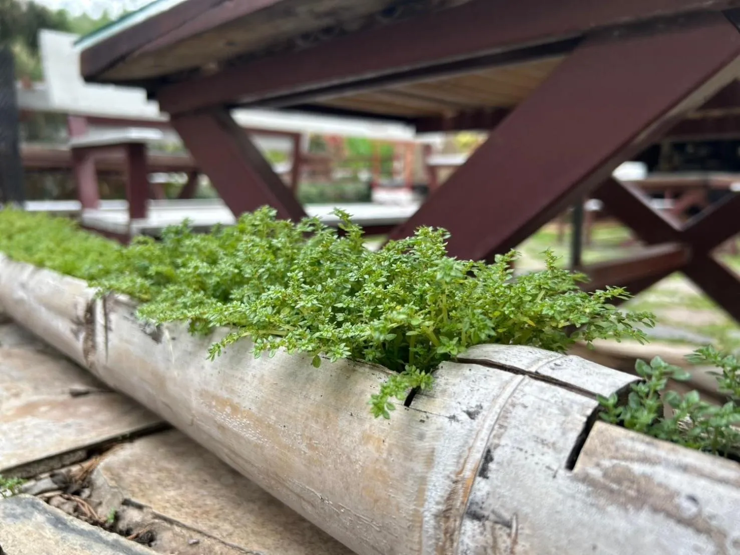Natural landscape in Ville De La Vie Khao Yai