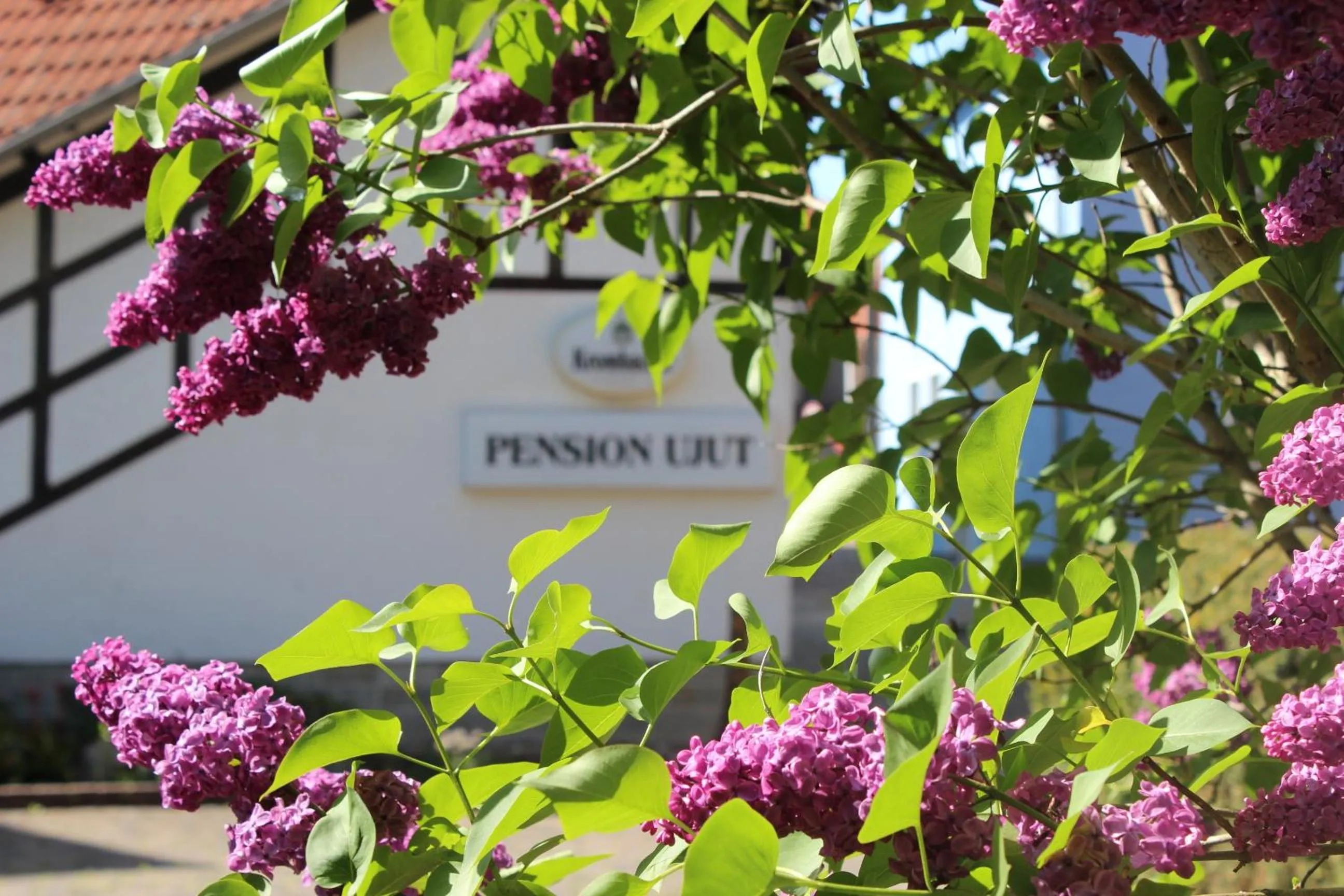 Property logo or sign in Pension Ujut