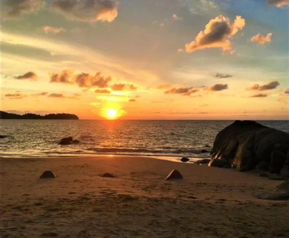 Natural landscape in Poseidon Bungalows