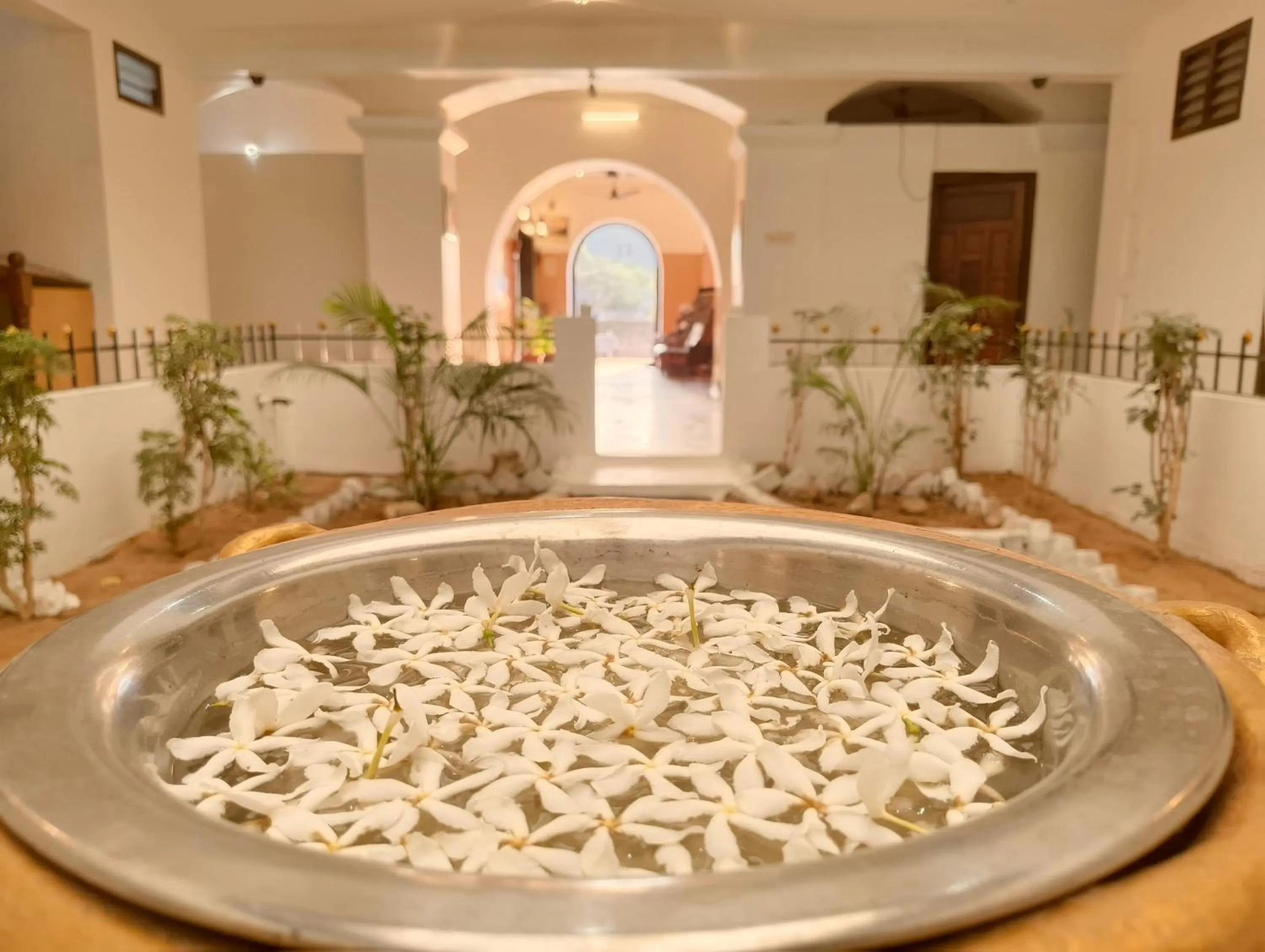 Garden in Hare Rama Hare Krishna - EESHA Hotel