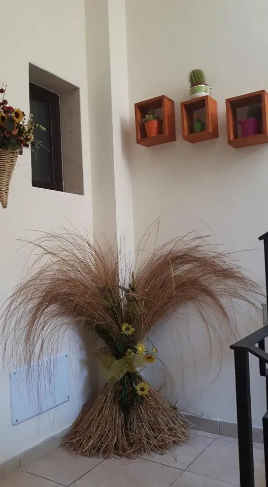 Bed&Breakfast La Cornucopia