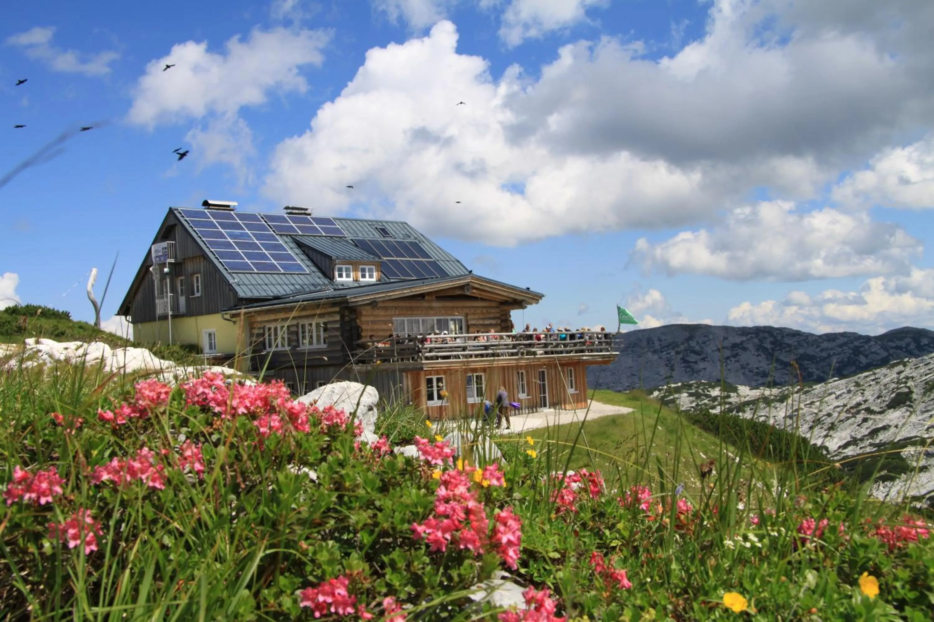 Property building in Lodge am Krippenstein