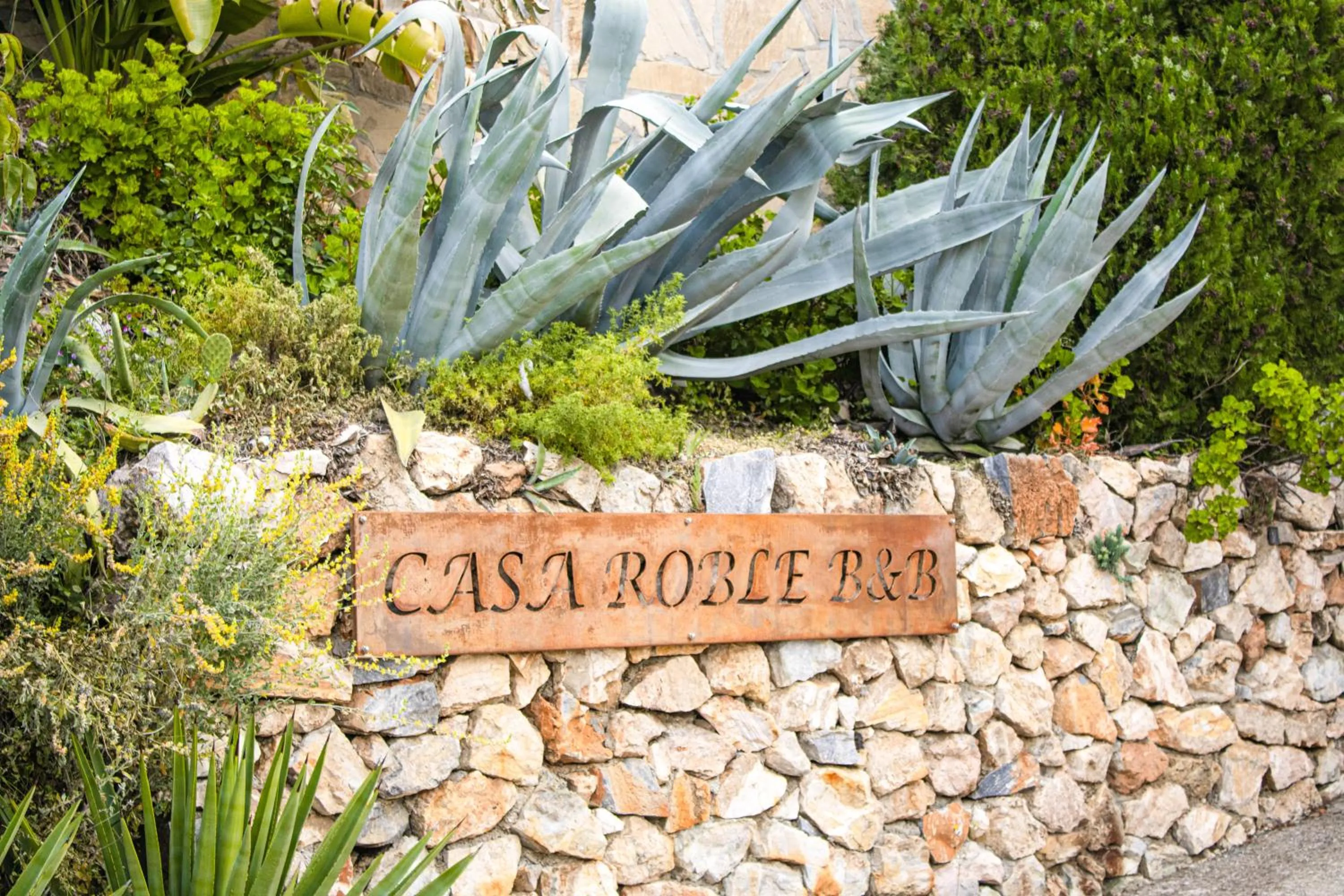 Casa Roble B&B
