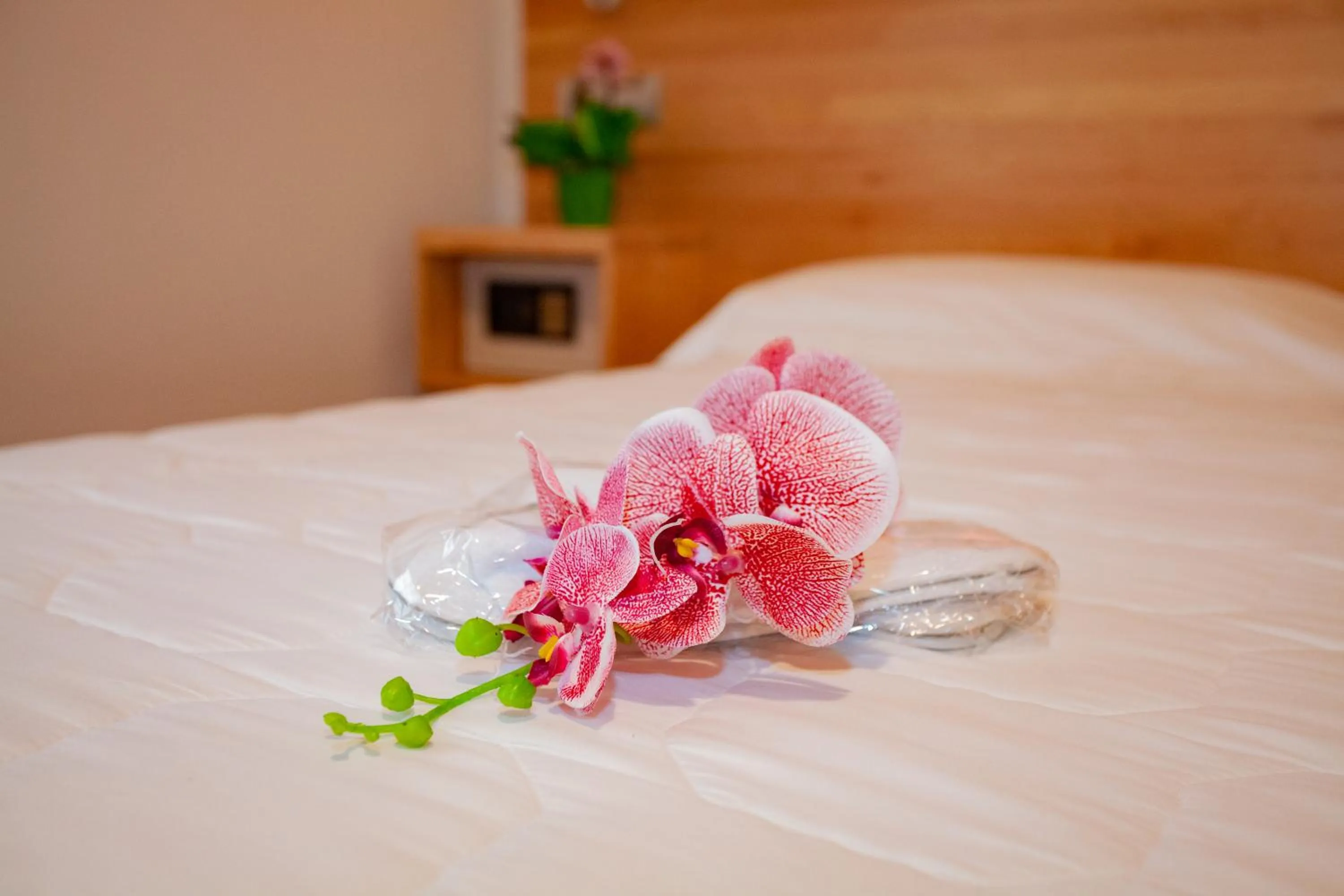 Bed in Hotel Giardino