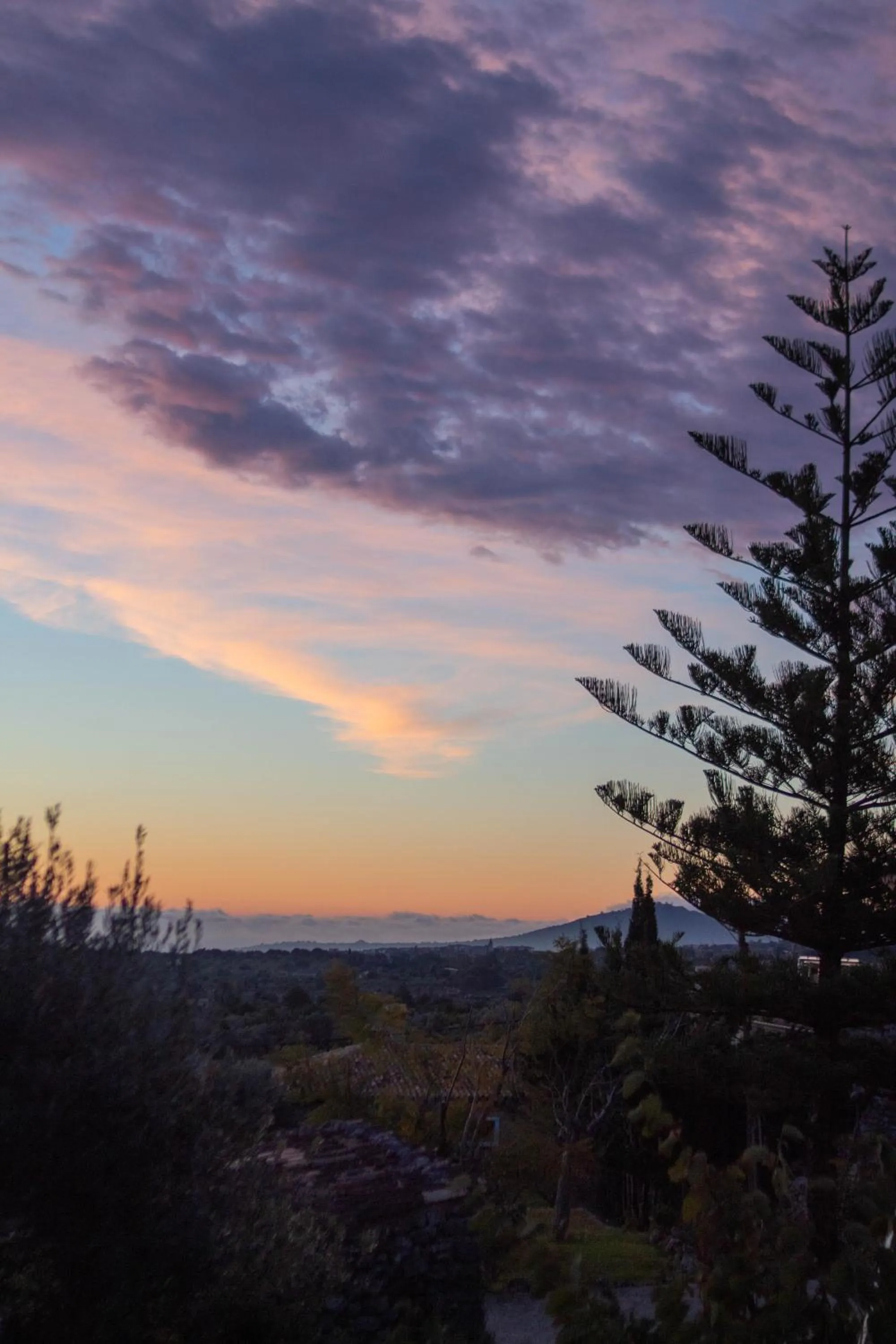 Garden view in Ca'n Beneït