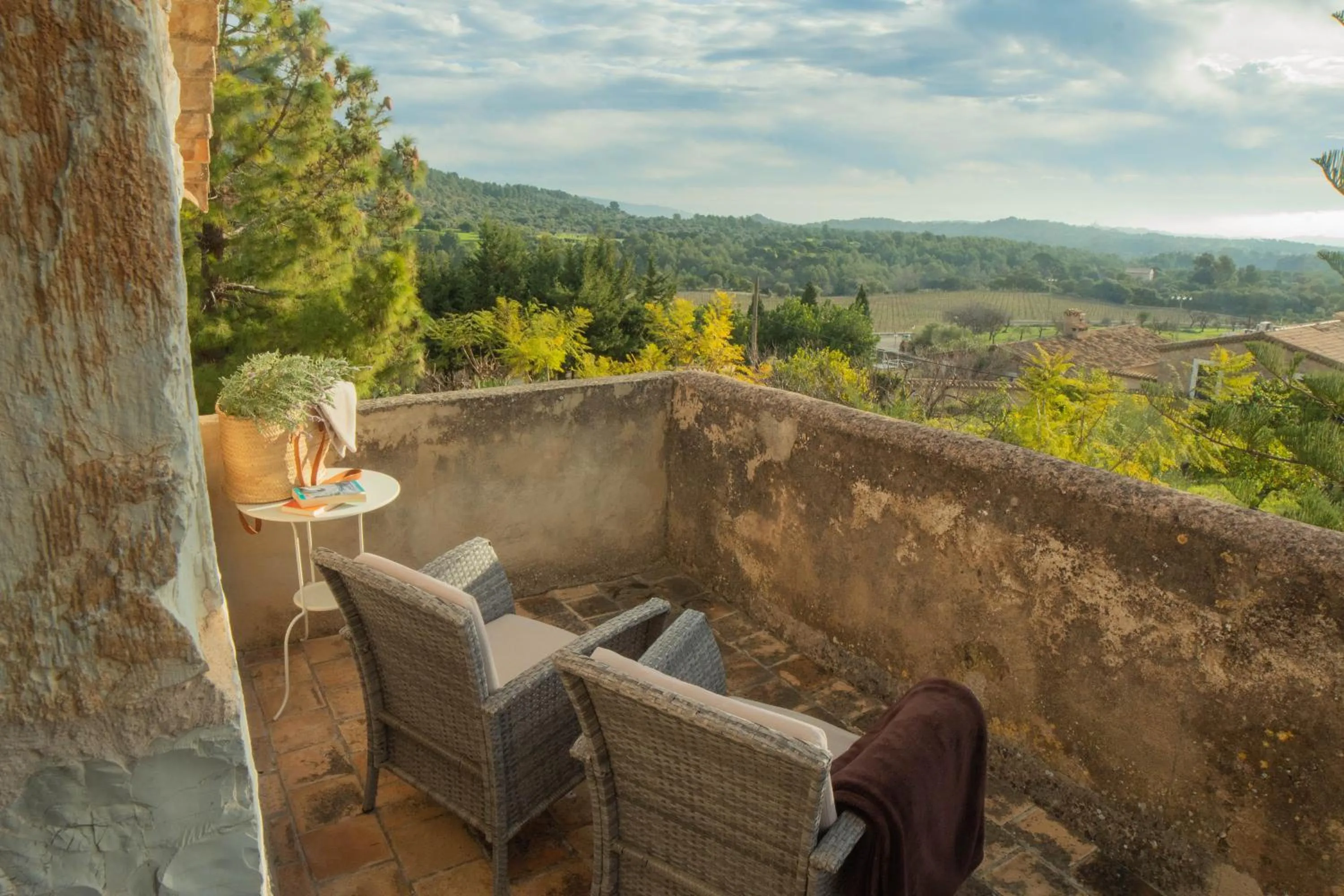 View (from property/room) in Ca'n Beneït