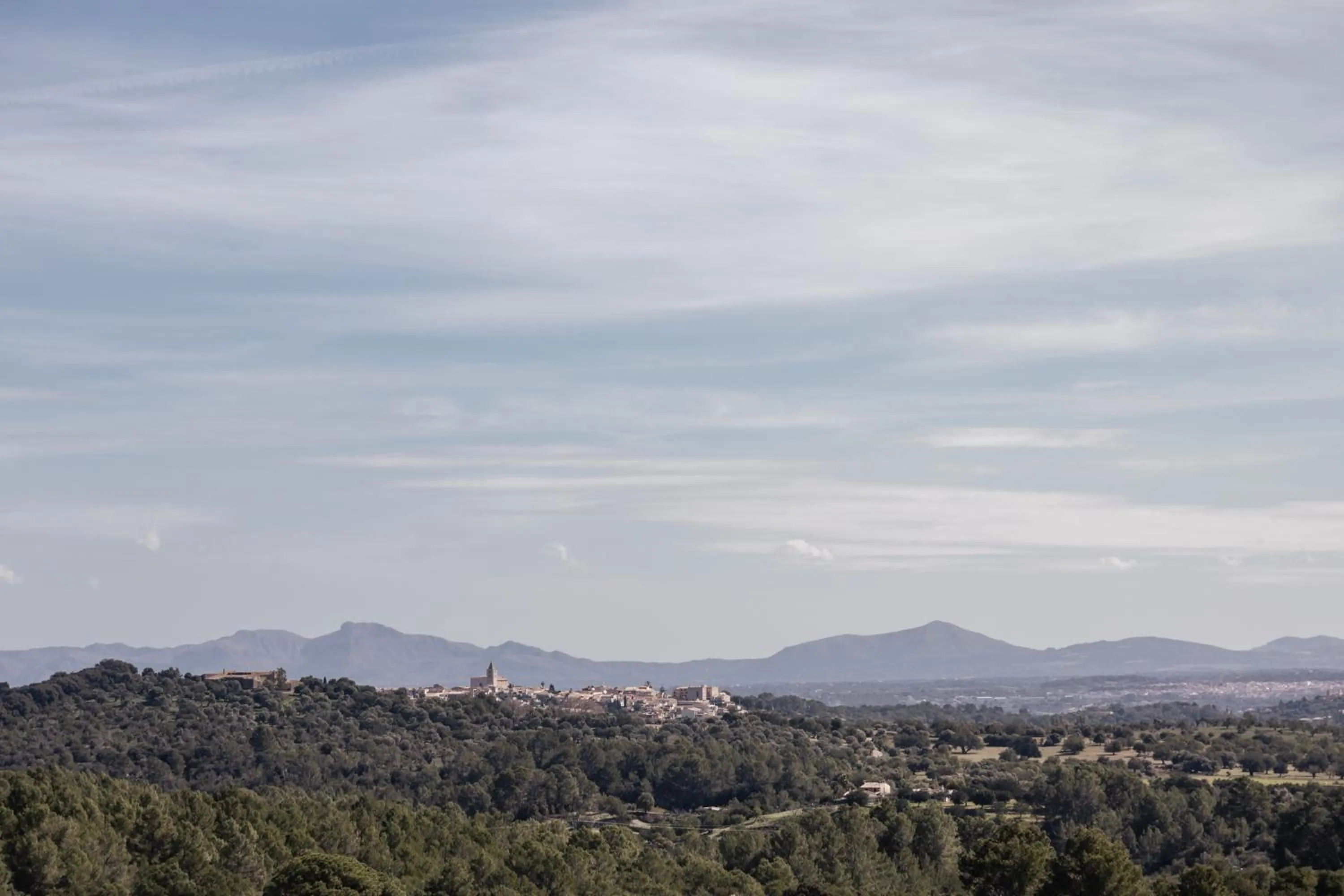 View (from property/room) in Ca'n Beneït