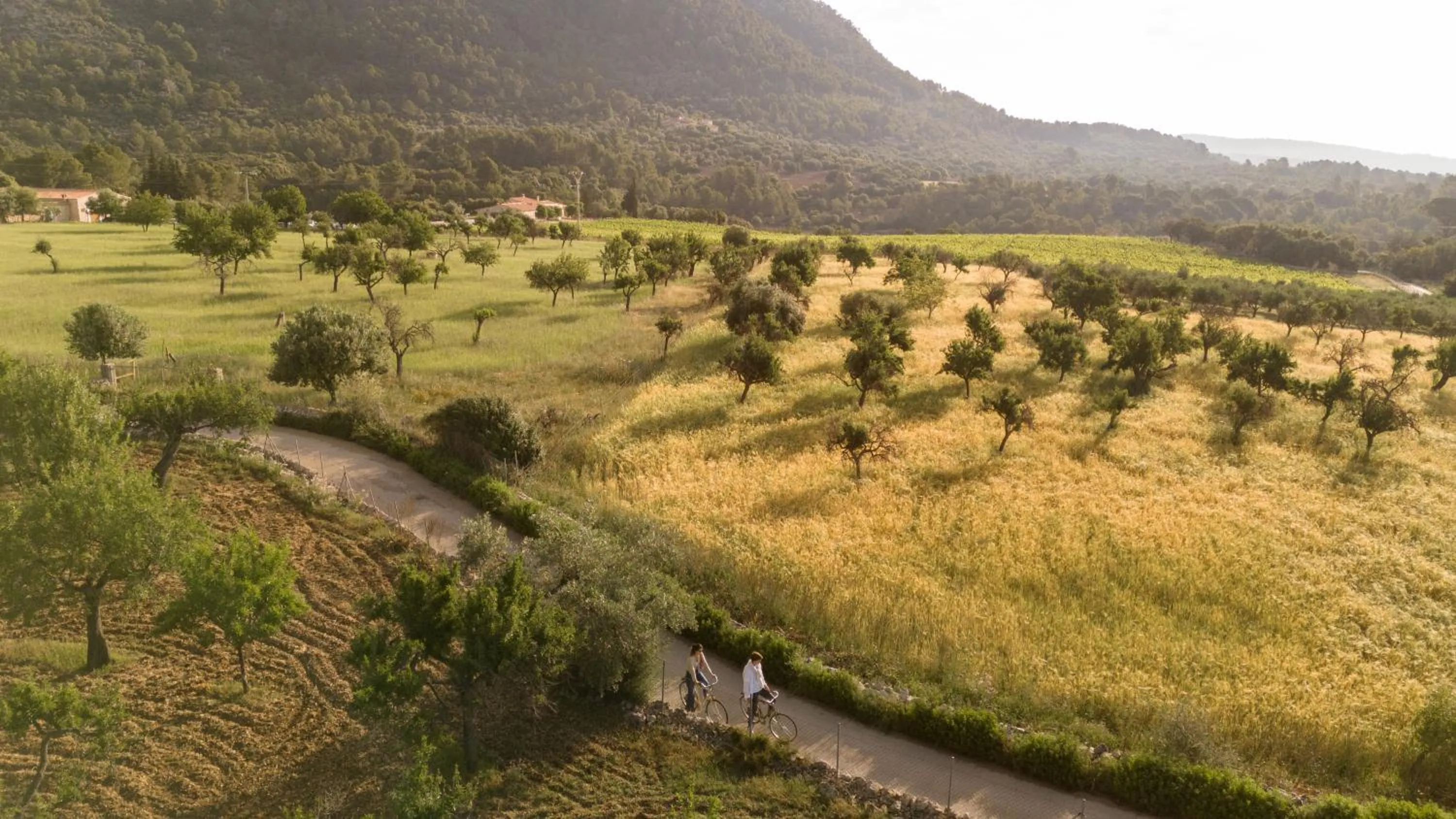 Activities in Ca'n Beneït