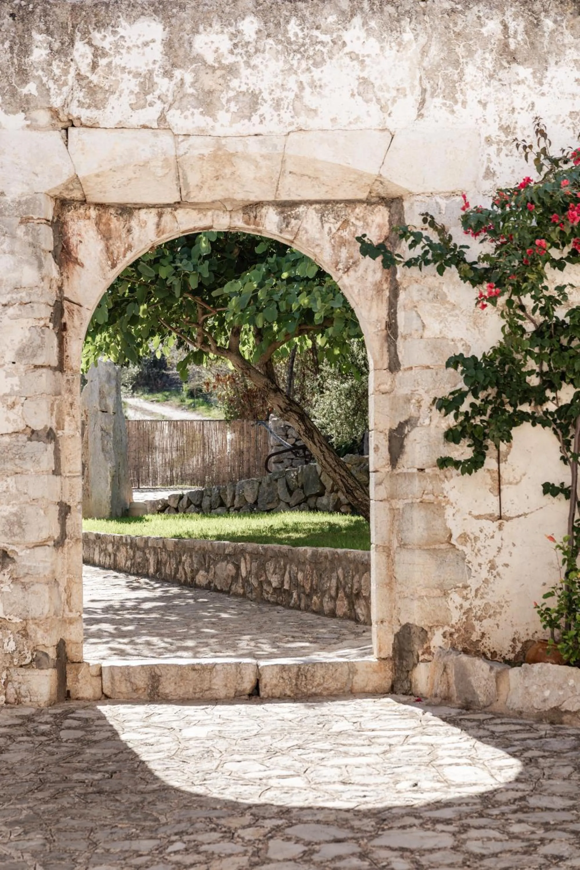 Garden in Ca'n Beneït