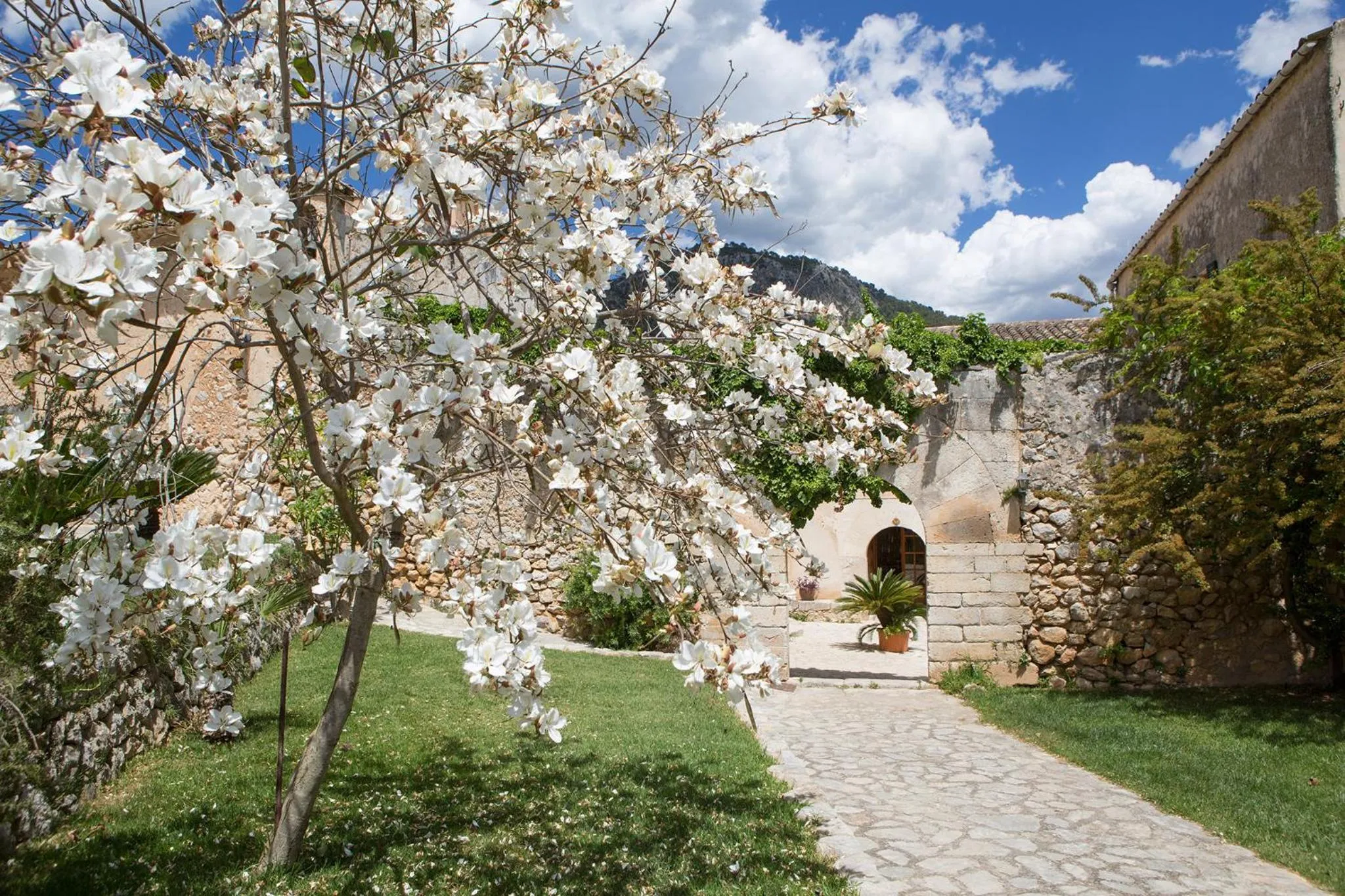 Facade/entrance in Ca'n Beneït