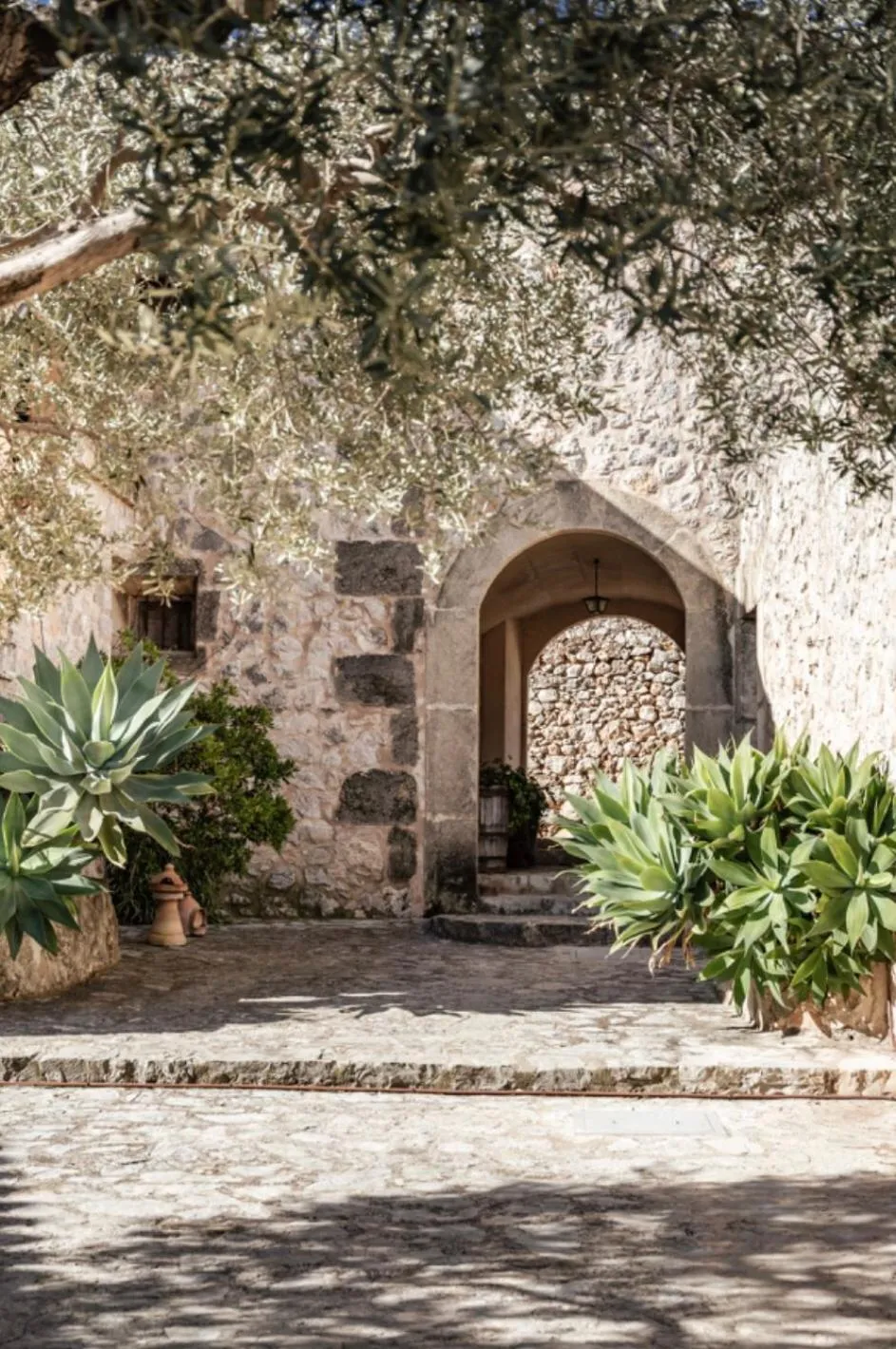 Garden in Ca'n Beneït