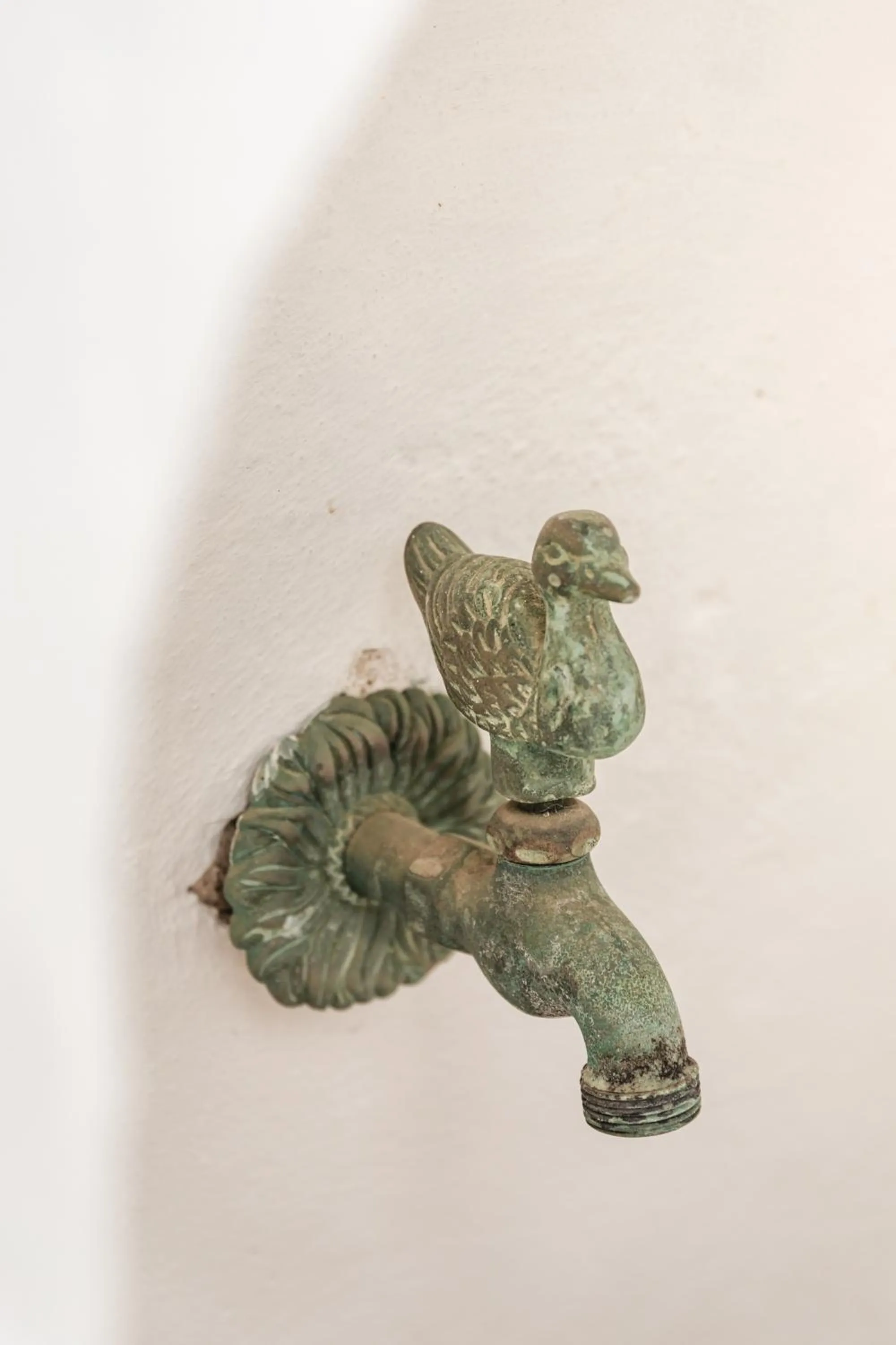 Garden in Ca'n Beneït