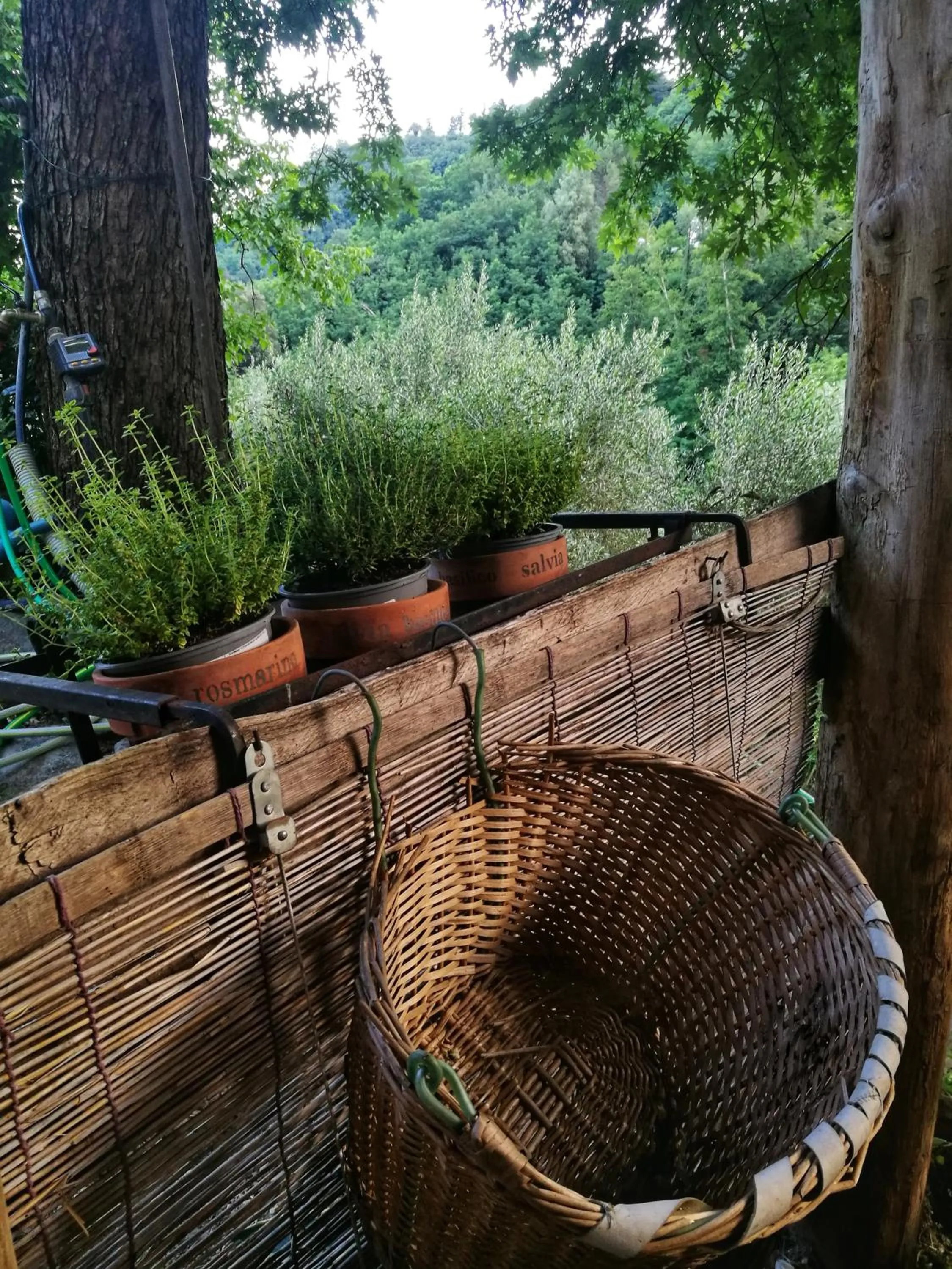 Day in Agriturismo Tananei