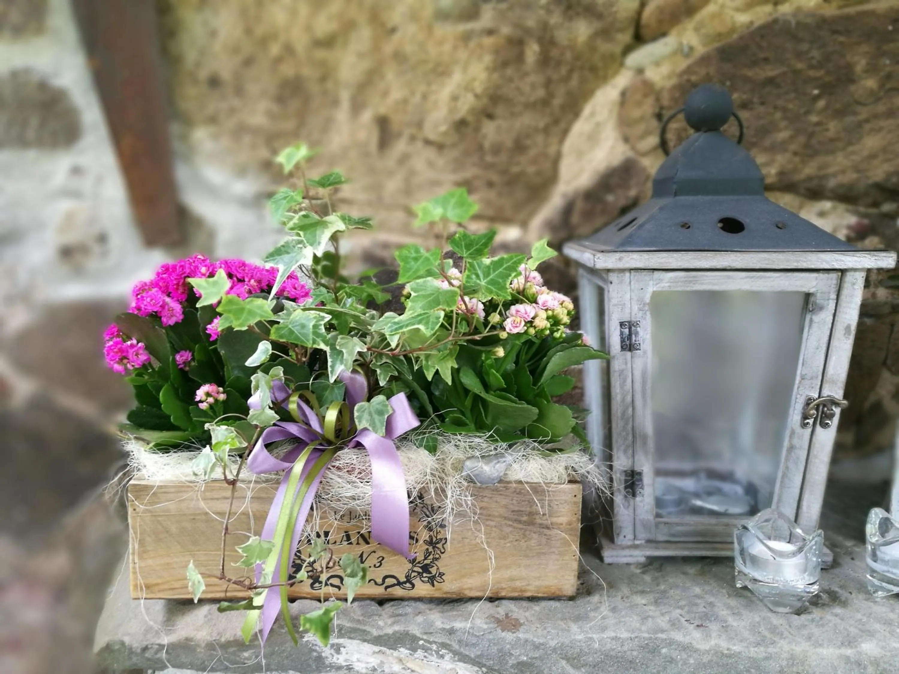 Day in Agriturismo Tananei