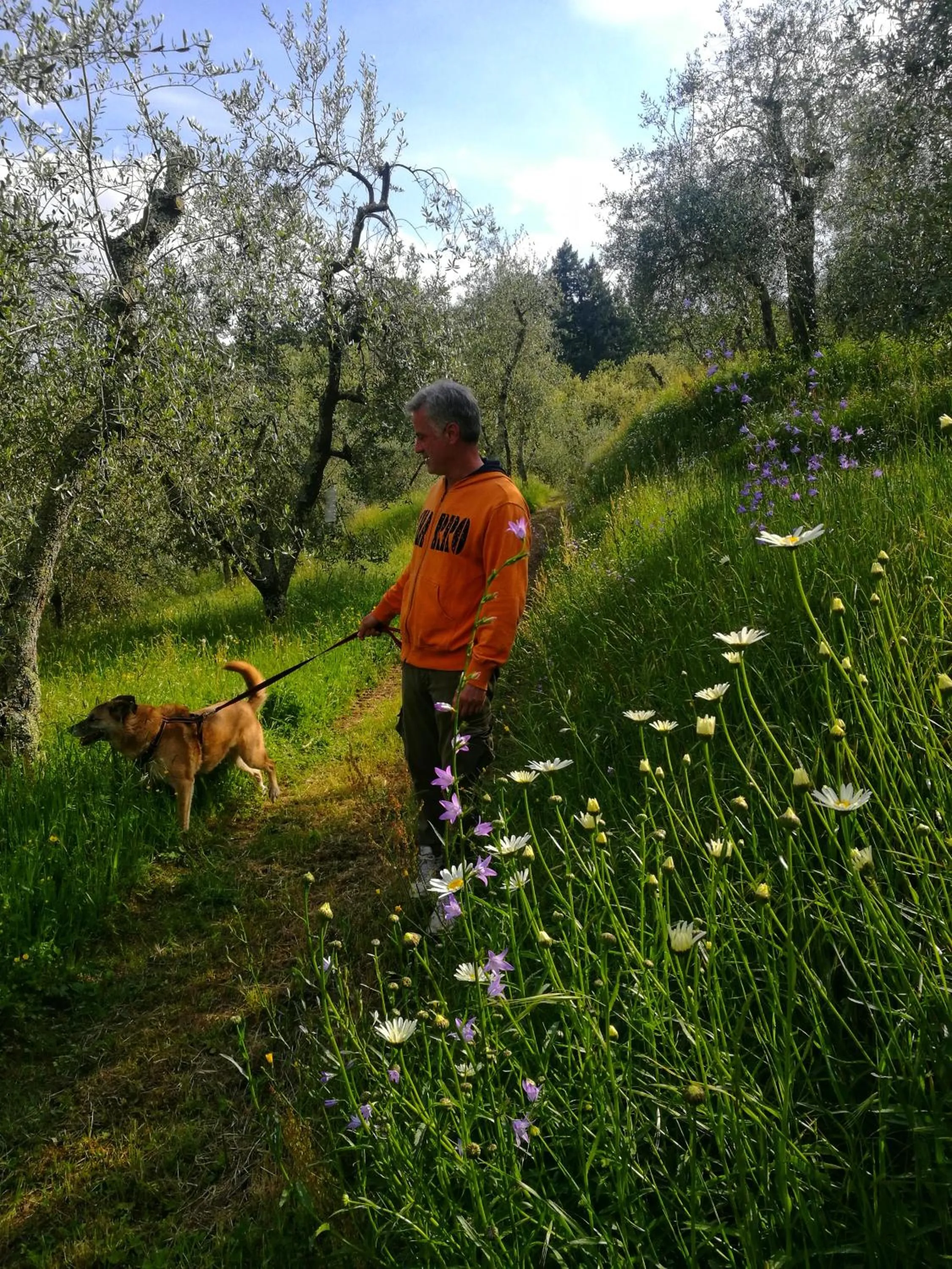 Day in Agriturismo Tananei