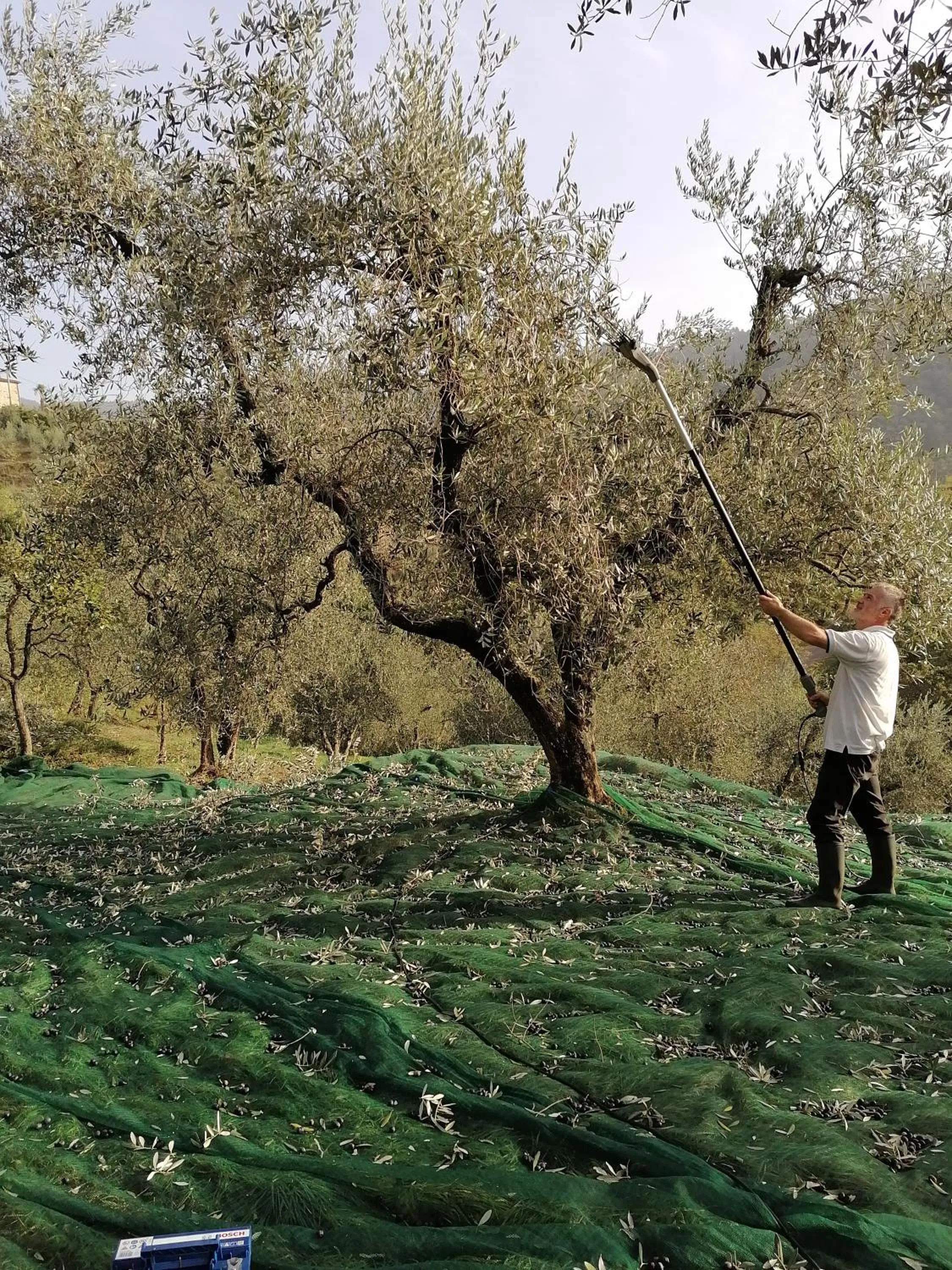 Day in Agriturismo Tananei