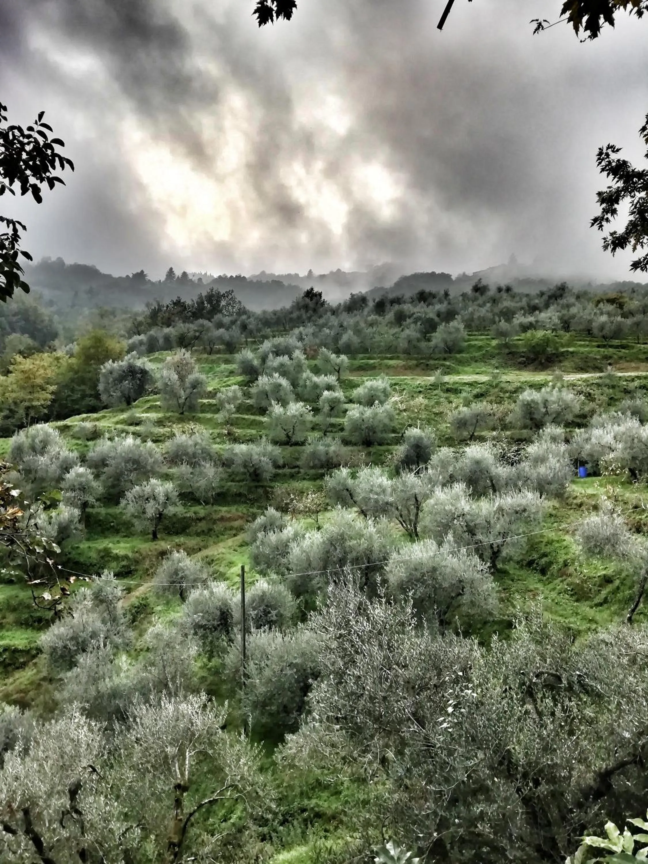 Day in Agriturismo Tananei