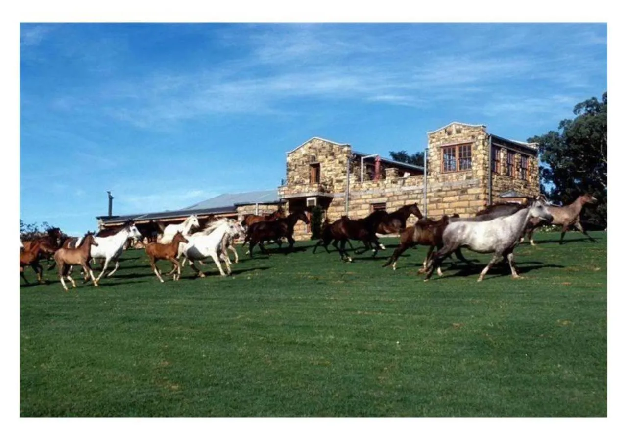 Animals in Moolmanshoek Private Game Reserve