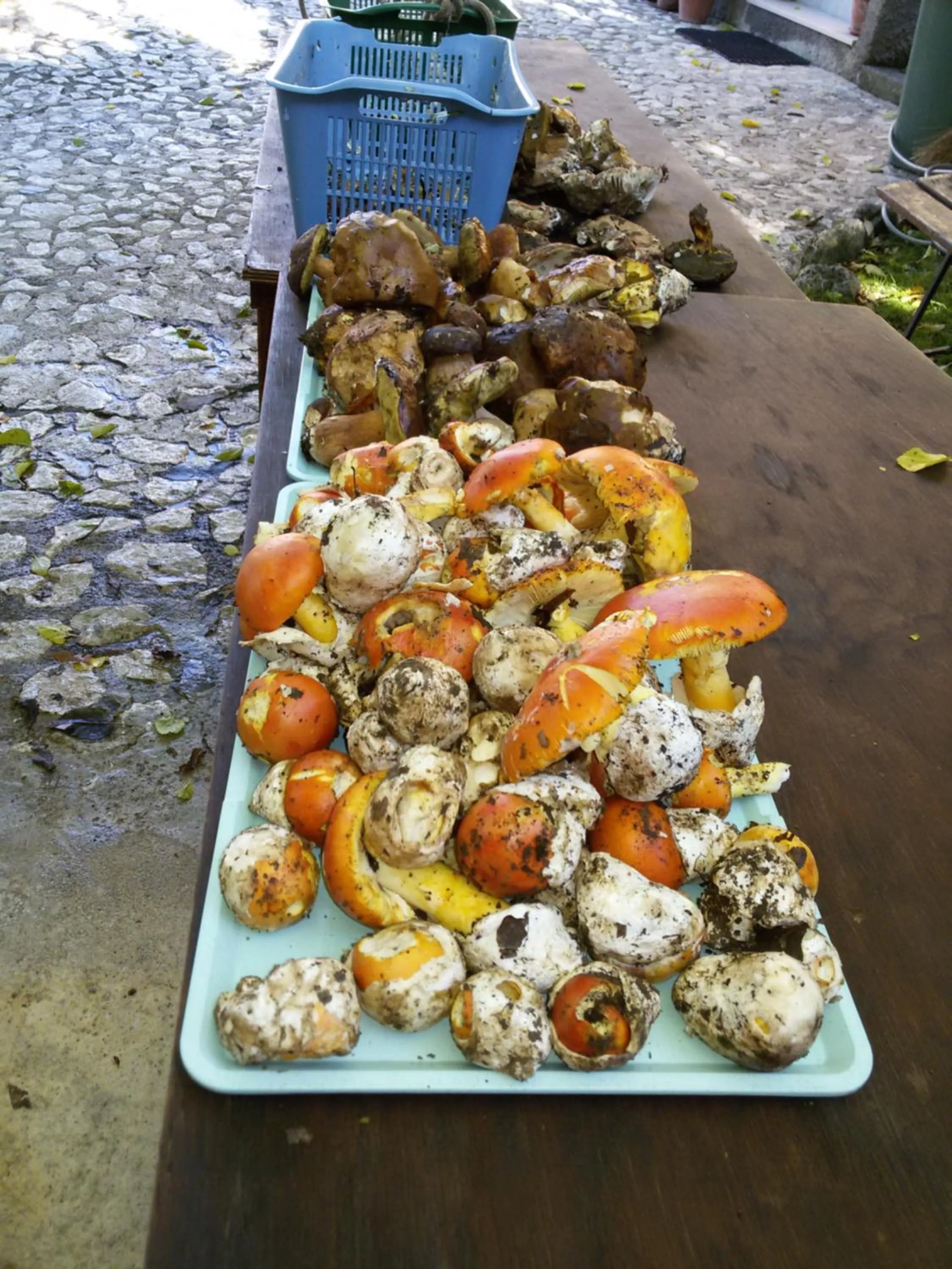 Food in Agriturismo Macchiapiede