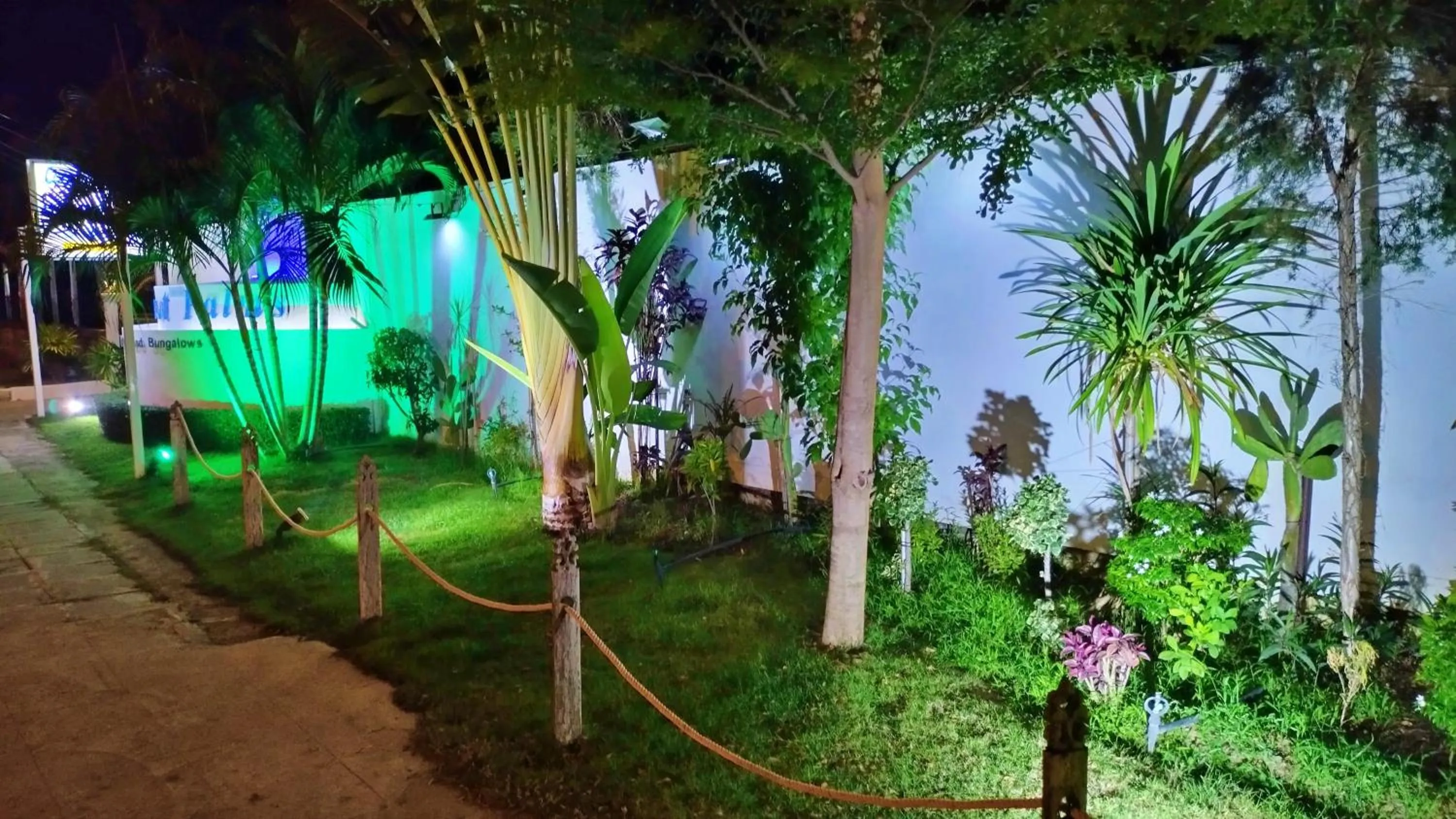 Street view in Coconut Palms